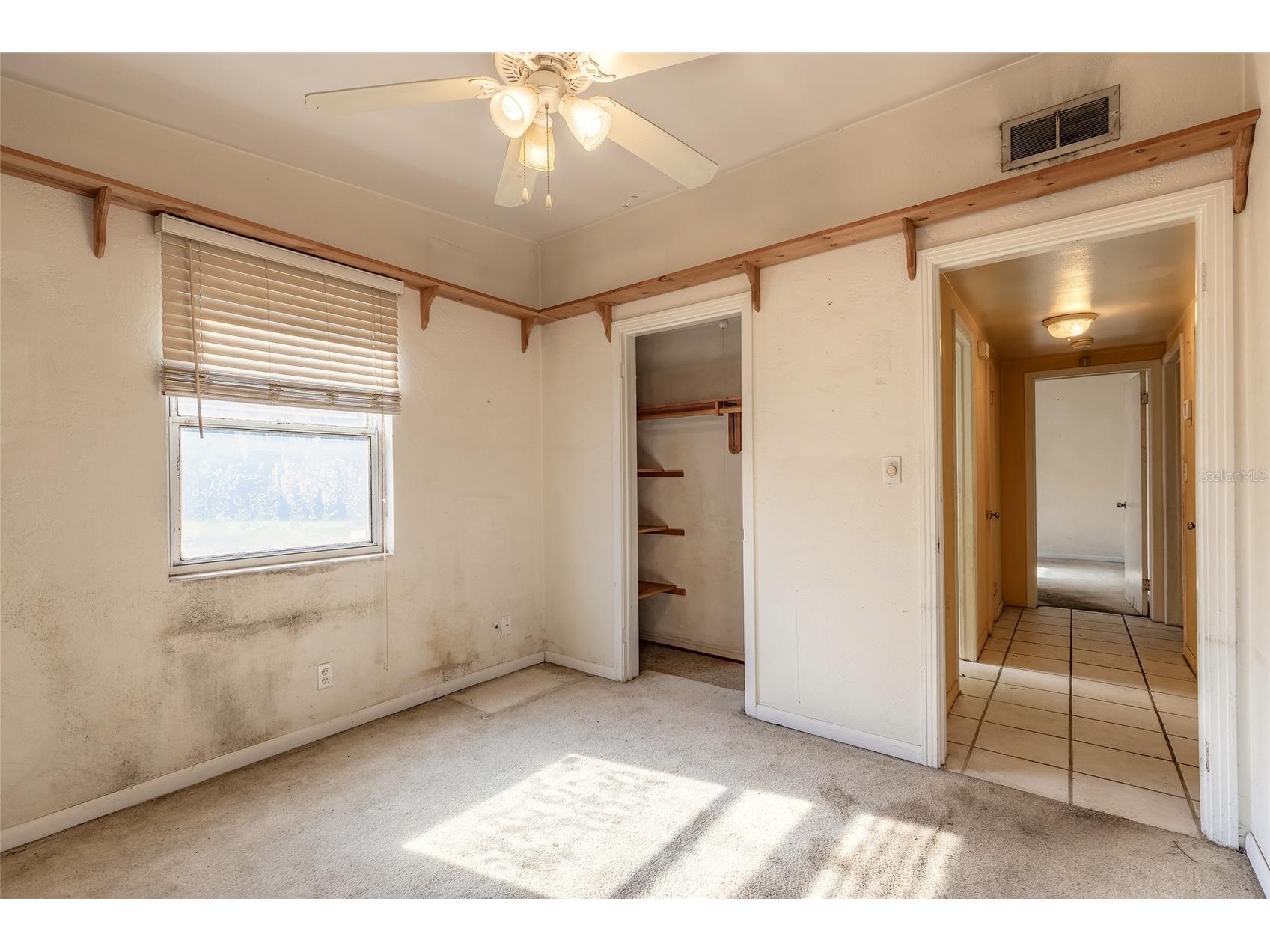 2030 Magnolia Avenue South Daytona FL 32119 V4947531 image12
