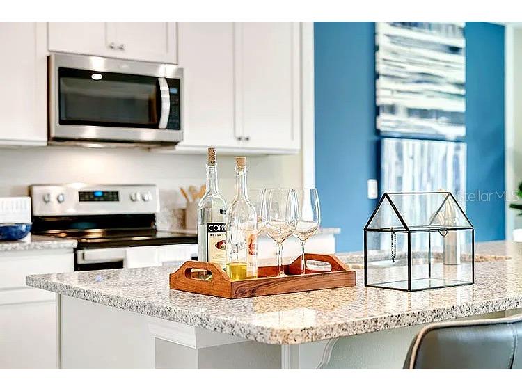 2030 Maple Ridge Drive Zellwood FL 32798 O6365398 image25