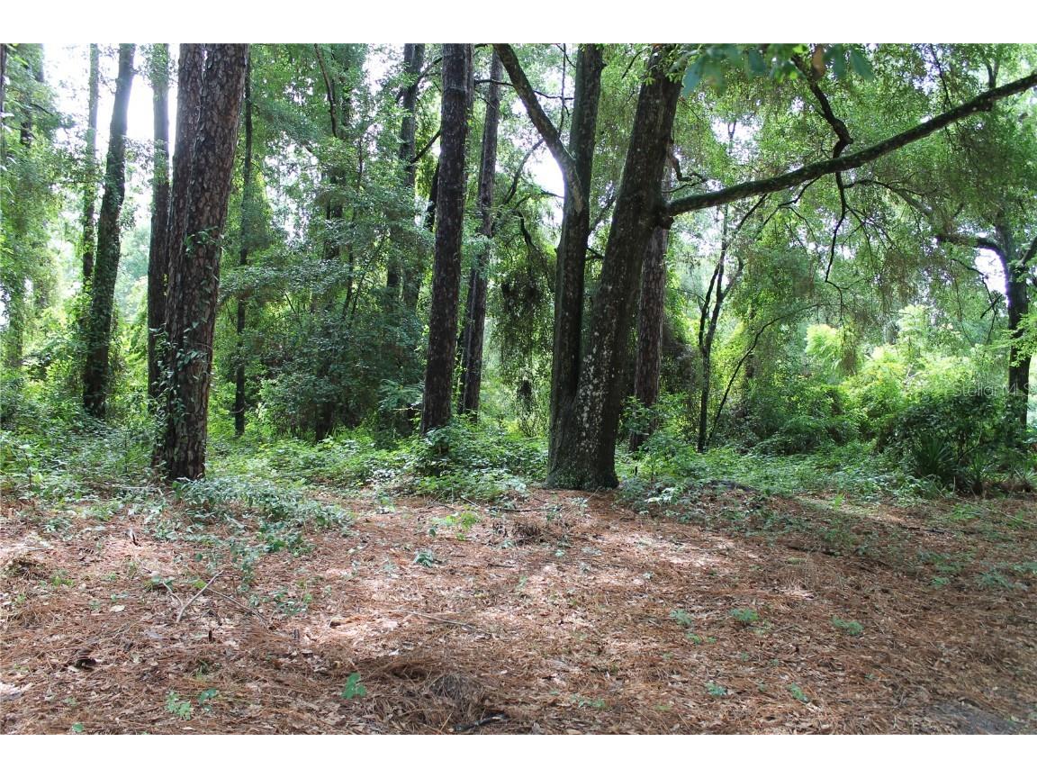 2030 SW 70th Terrace Gainesville FL 32607 GC532633 image5