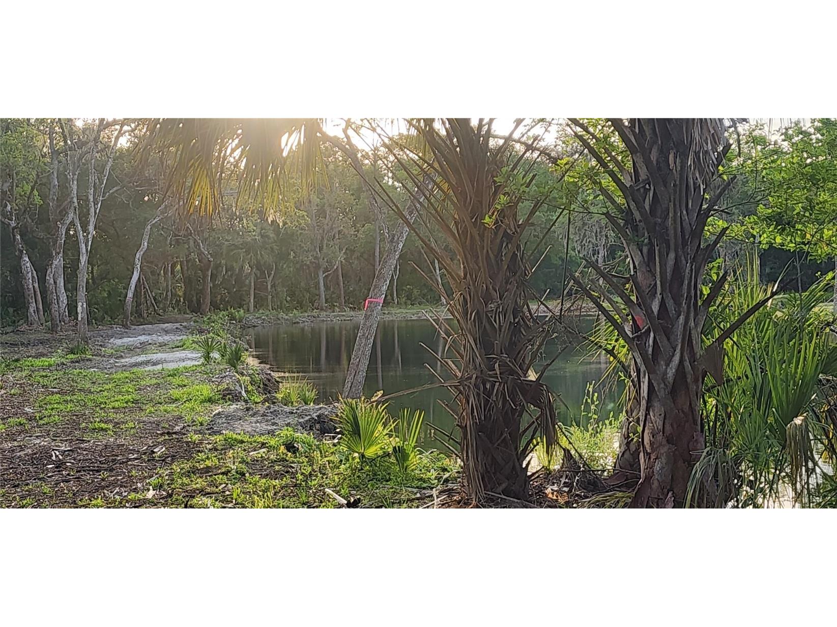 2030 Woodland Avenue New Smyrna Beach FL 32168 T3520801 image1