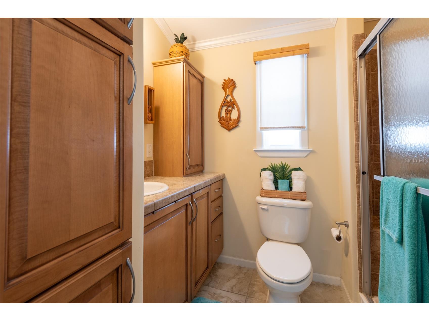 20300 Leonard Road #33 Lutz FL 33558 TB8463260 image15