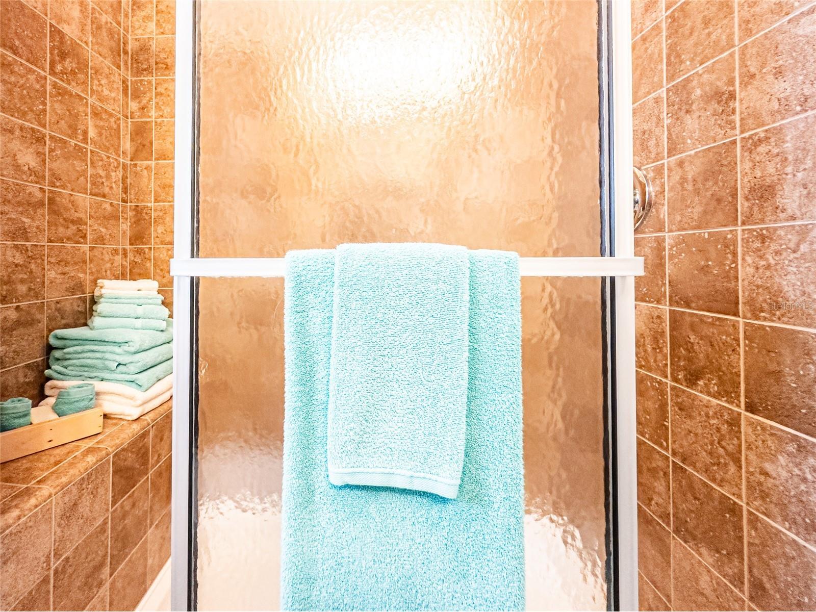 20300 Leonard Road #33 Lutz FL 33558 TB8463260 image16