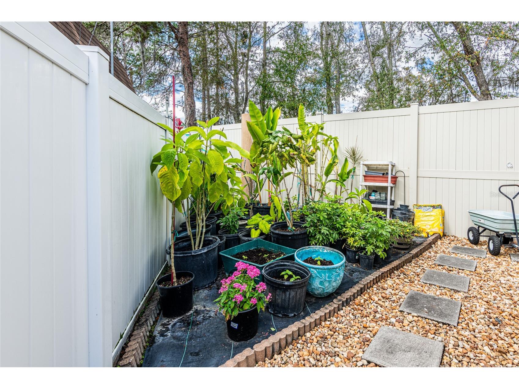 20300 Leonard Road #33 Lutz FL 33558 TB8463260 image34