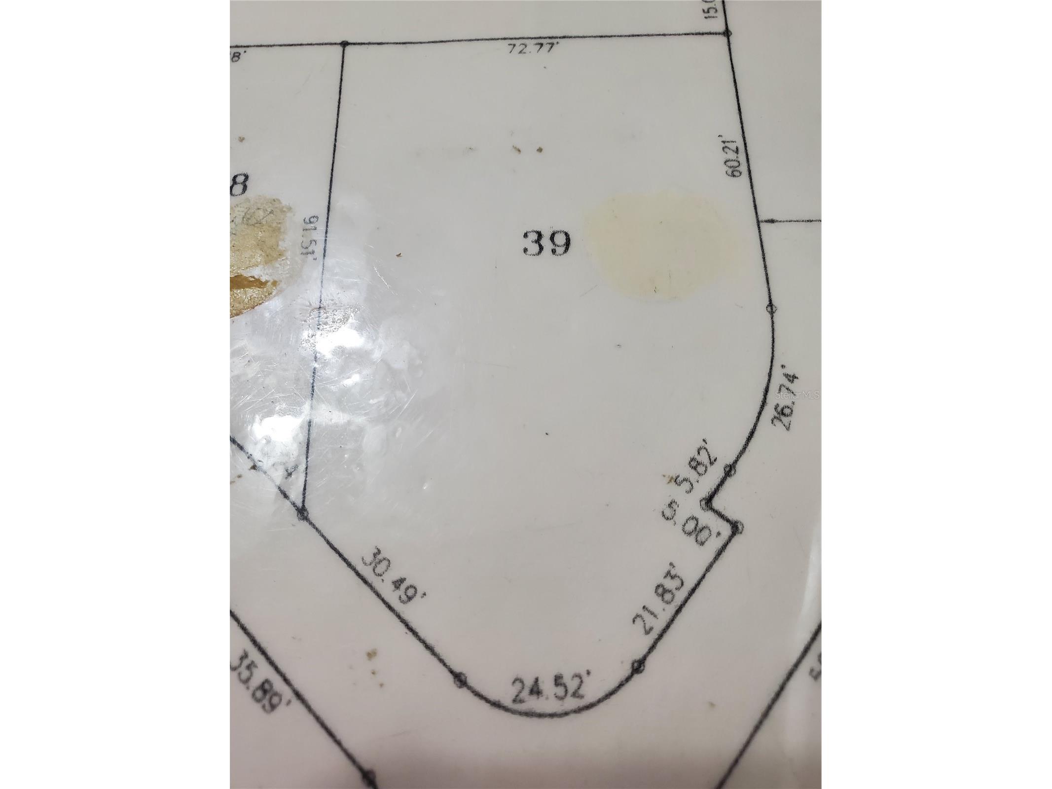 20300 Leonard Road #39 Lutz FL 33558 TB8471234 image27