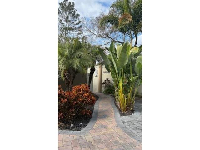 20300 Leonard Road #39 Lutz FL 33558 TB8471234 image9