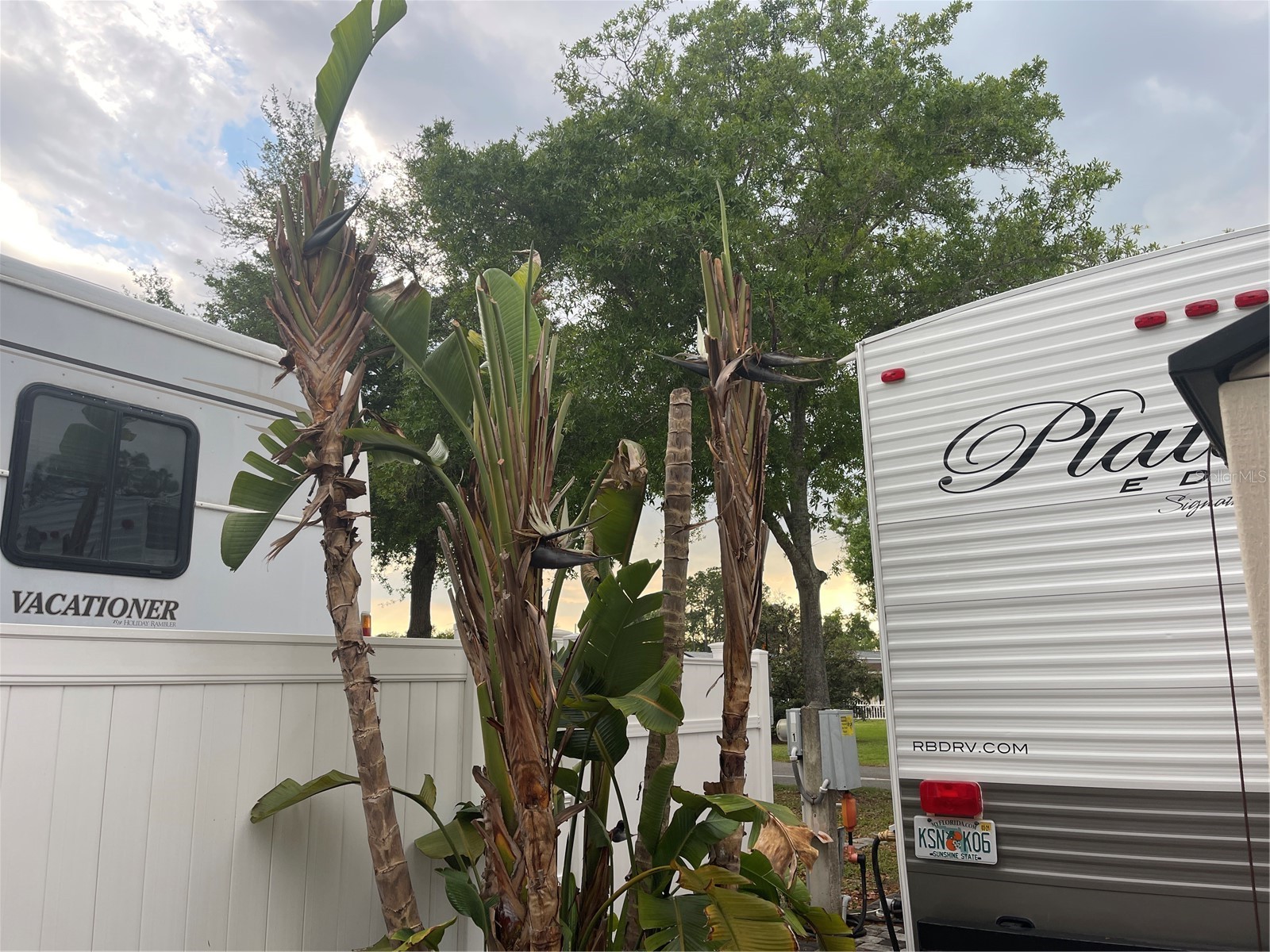 20300 Leonard Road #78 Lutz FL 33558 W7884268 image27