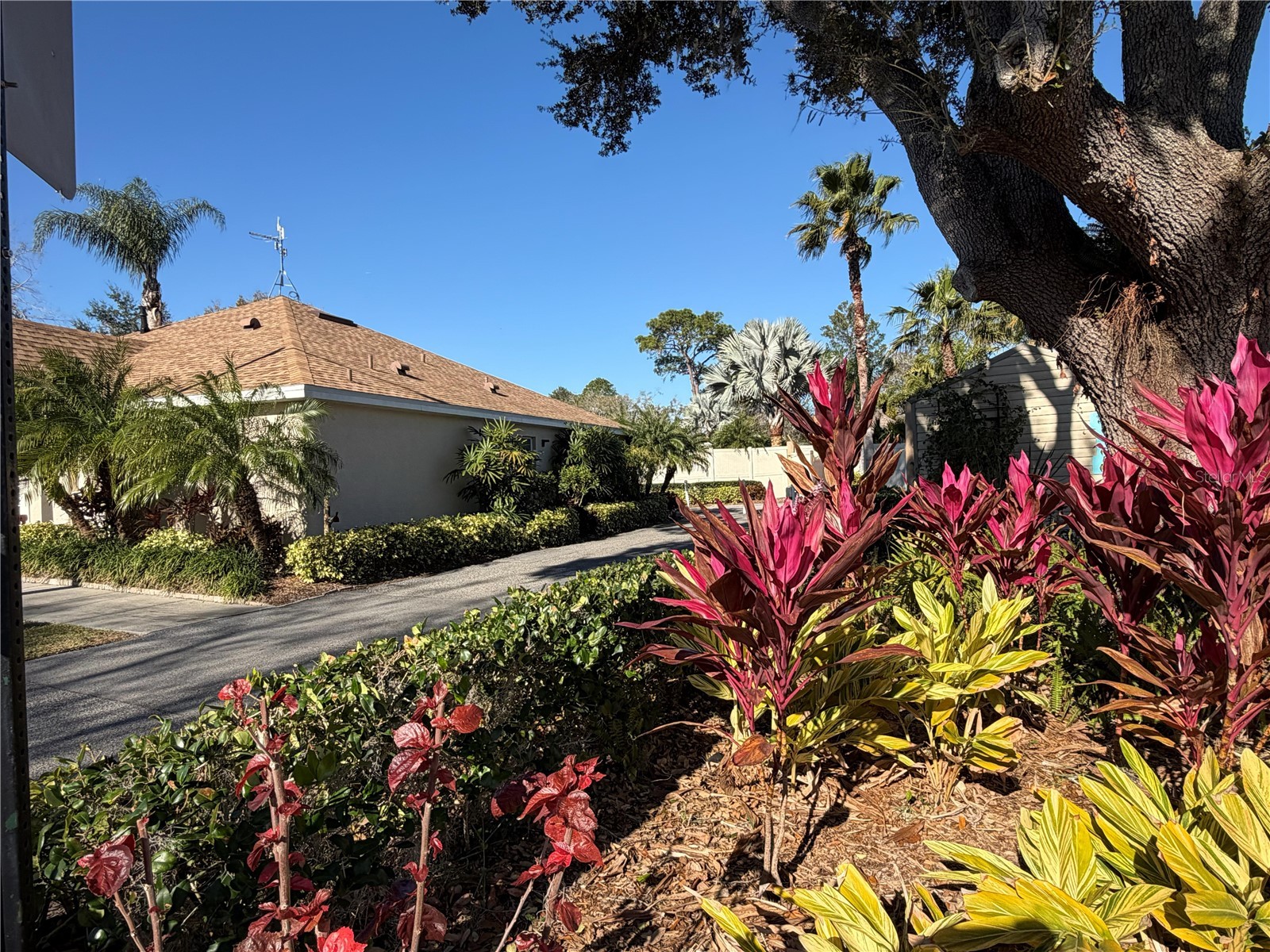 20300 Leonard Road #78 Lutz FL 33558 W7884268 image38