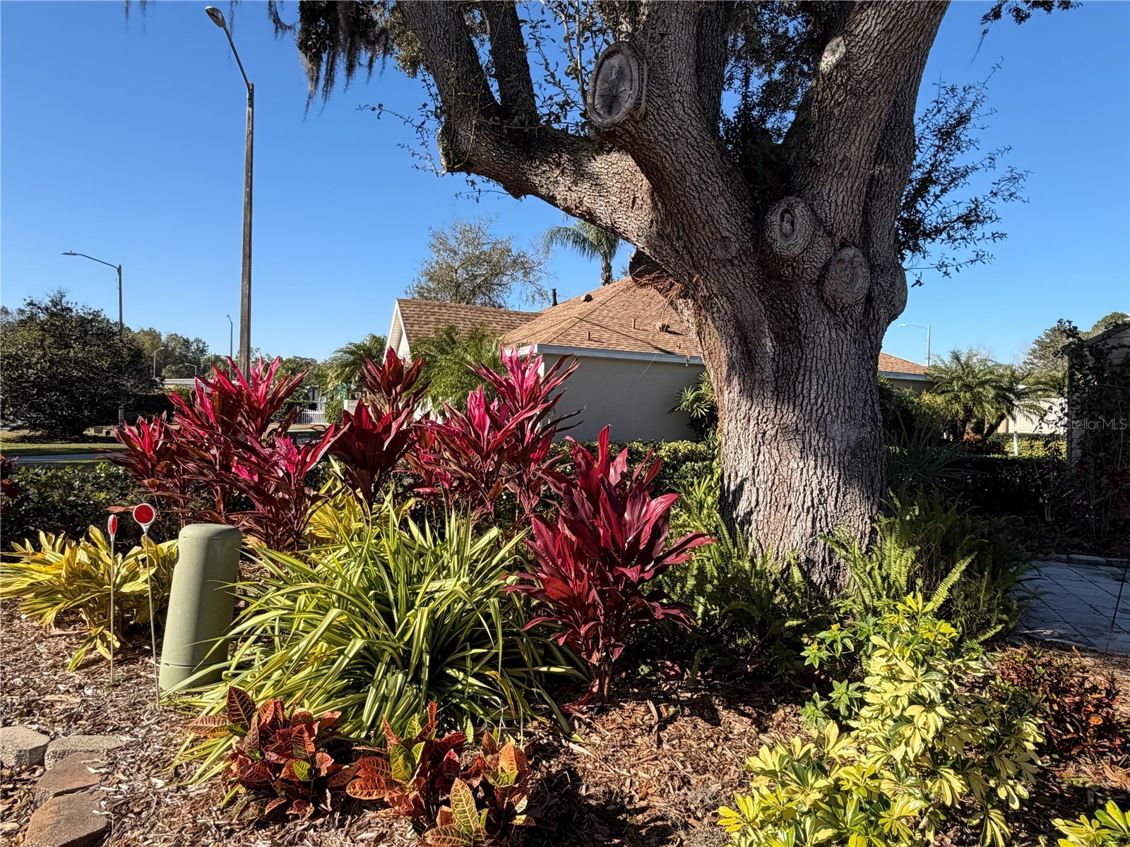 20300 Leonard Road #78 Lutz FL 33558 W7884268 image39