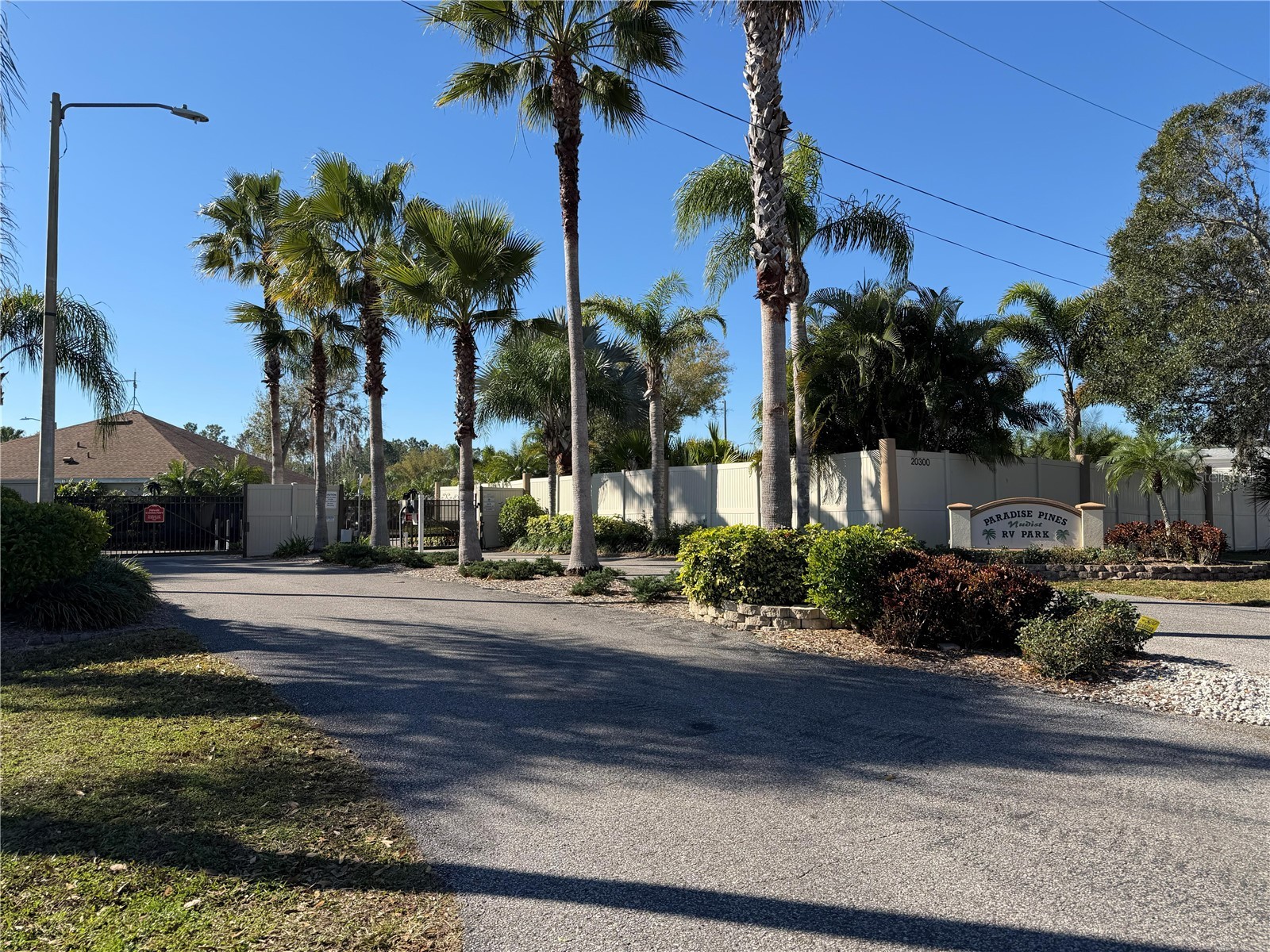20300 Leonard Road #78 Lutz FL 33558 W7884268 image4