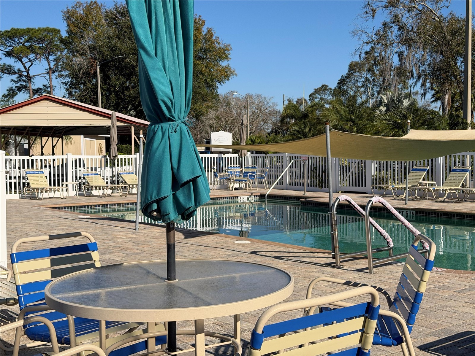 20300 Leonard Road #78 Lutz FL 33558 W7884268 image49