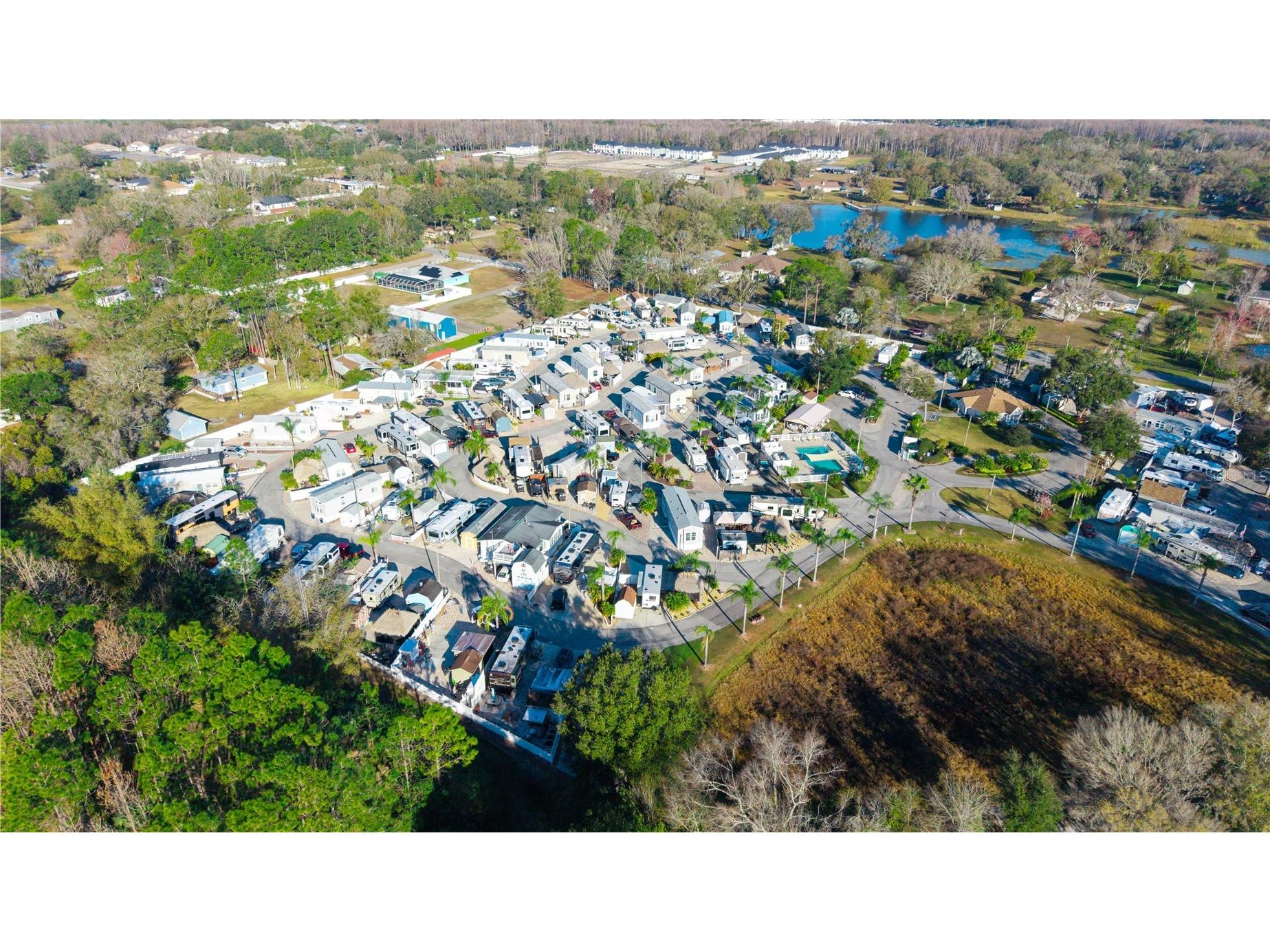 20300 Leonard Road #78 Lutz FL 33558 W7884268 image51