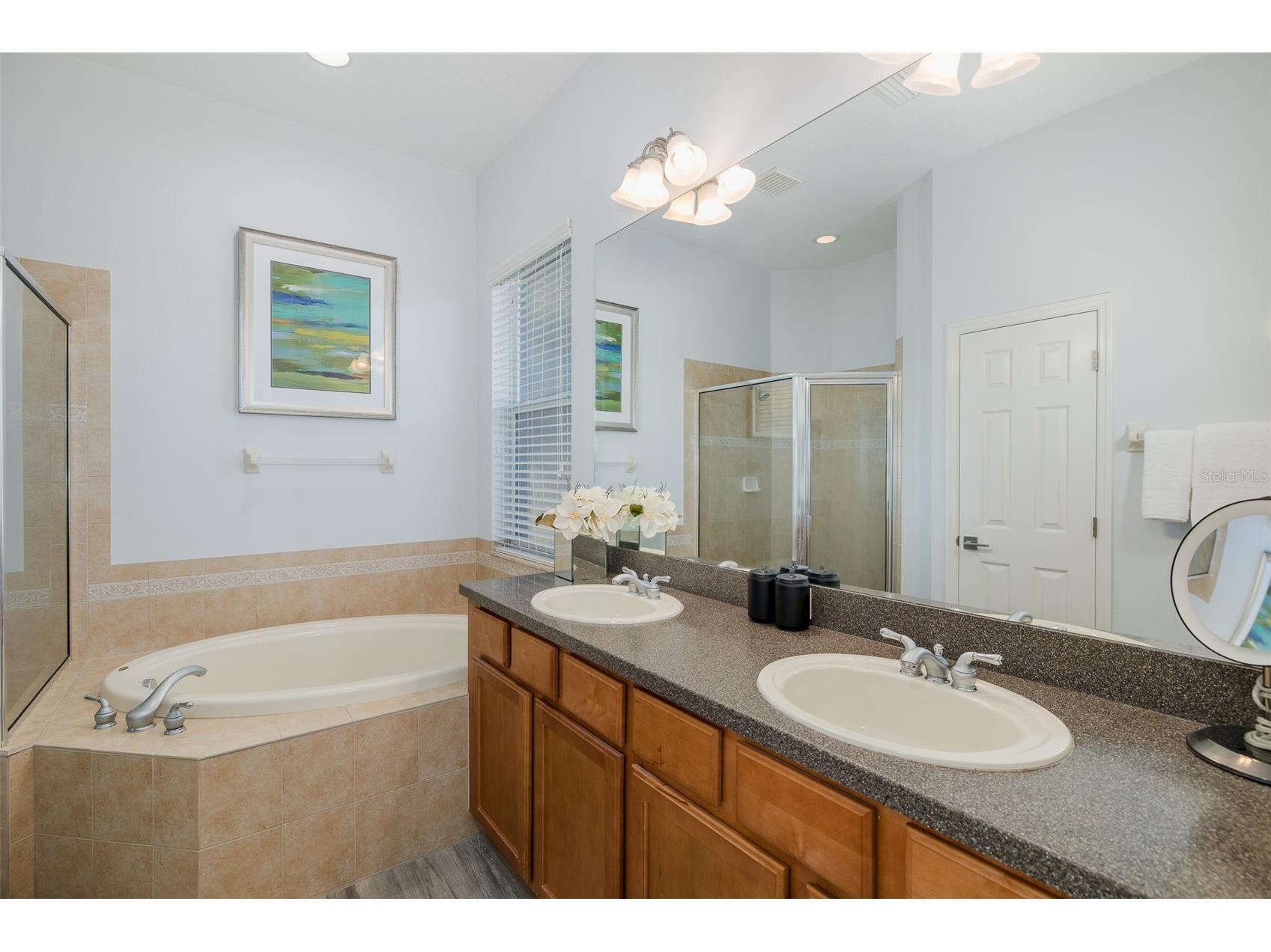 20301 Falling Rock Drive Land O Lakes FL 34638 W7883146 image24