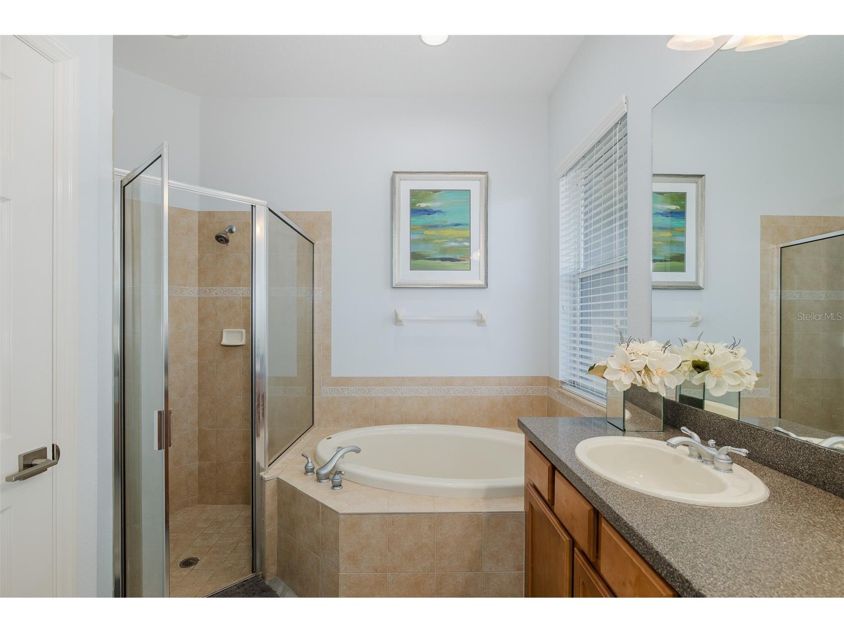 20301 Falling Rock Drive Land O Lakes FL 34638 W7883146 image25