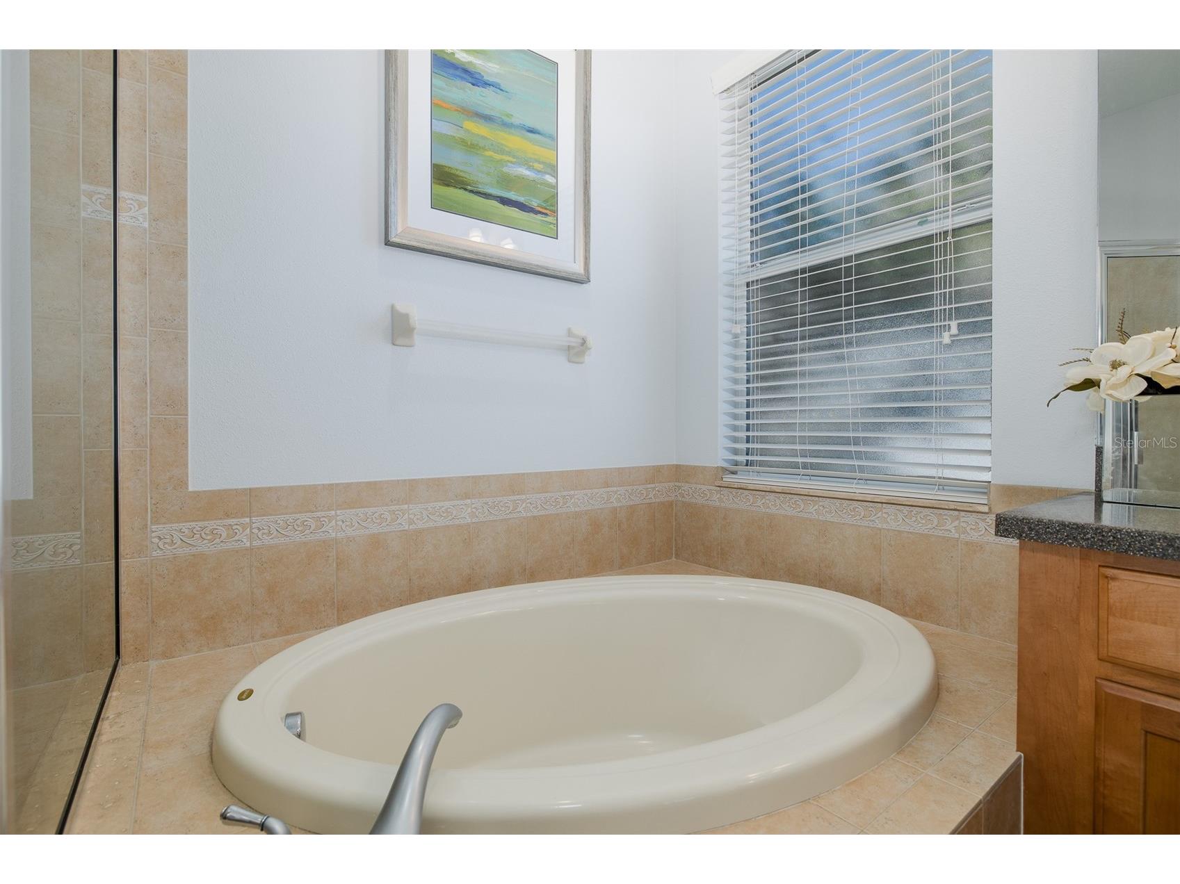 20301 Falling Rock Drive Land O Lakes FL 34638 W7883146 image26