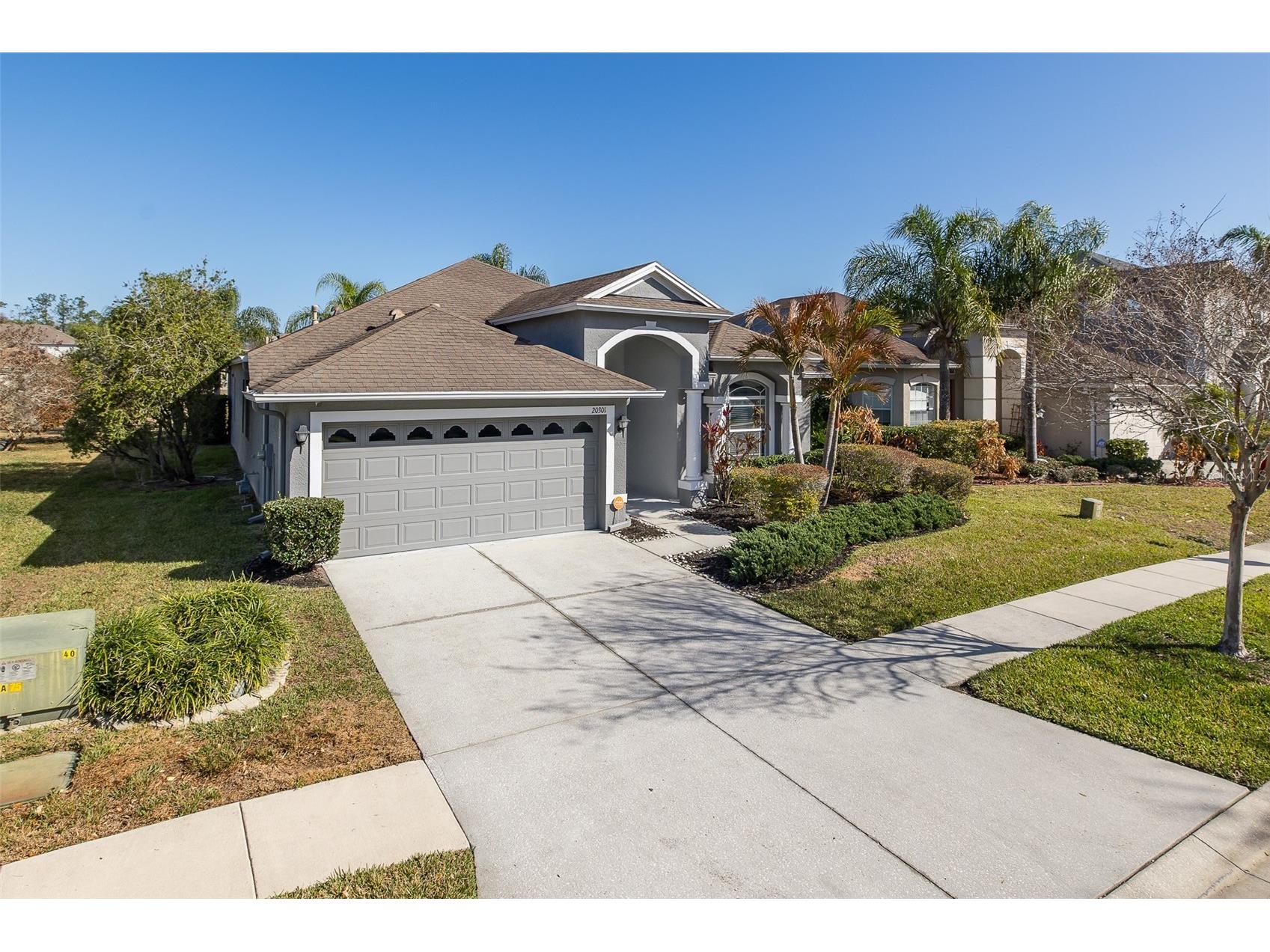 20301 Falling Rock Drive Land O Lakes FL 34638 W7883146 image3