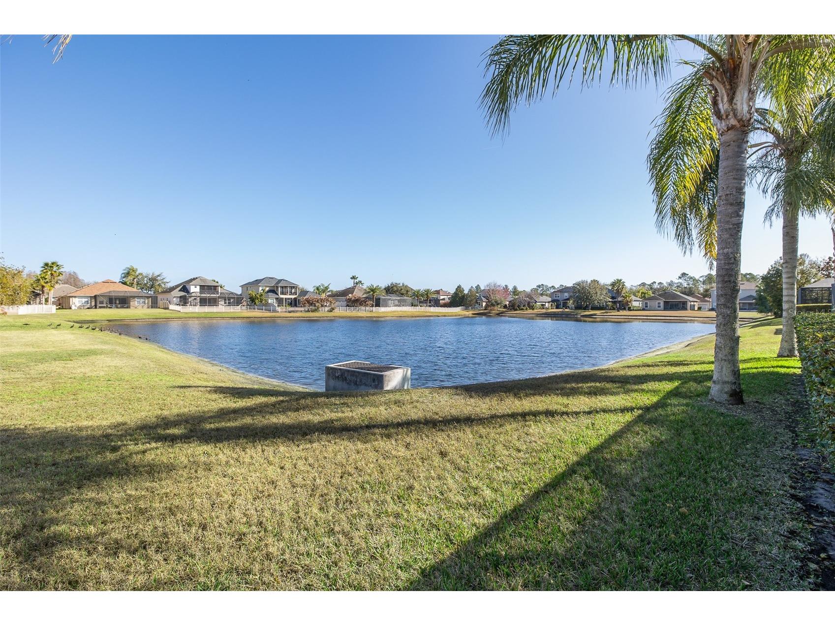 20301 Falling Rock Drive Land O Lakes FL 34638 W7883146 image53