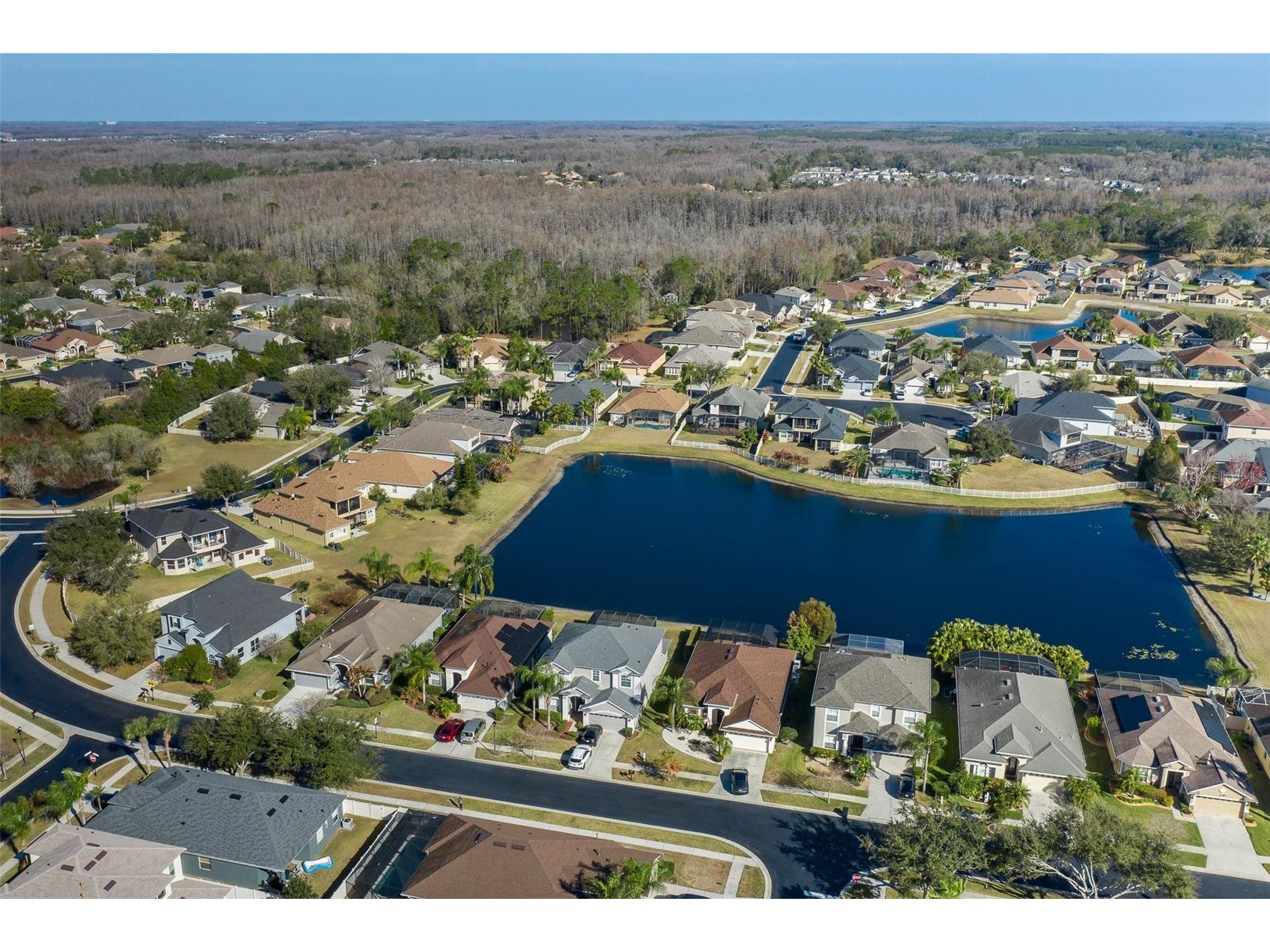 20301 Falling Rock Drive Land O Lakes FL 34638 W7883146 image65
