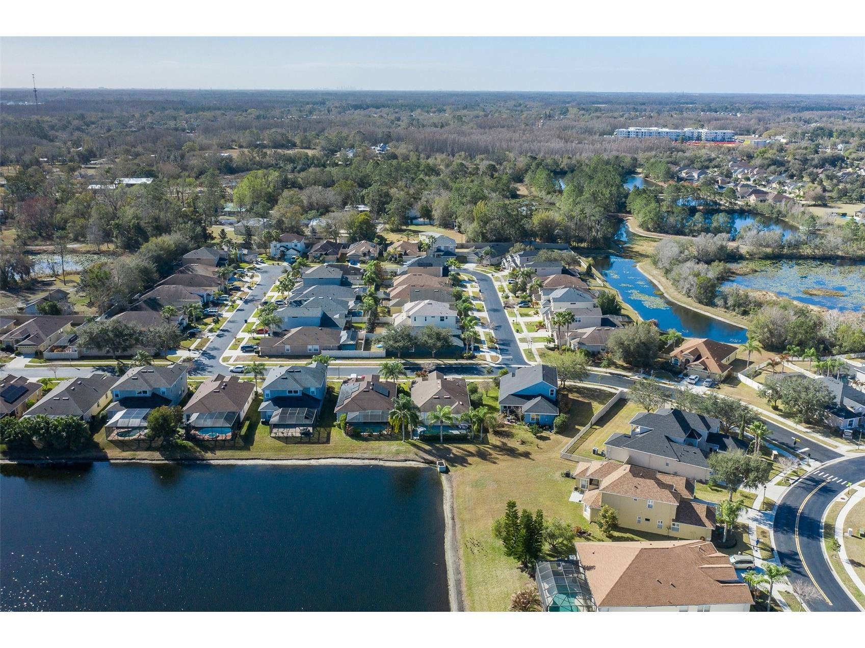 20301 Falling Rock Drive Land O Lakes FL 34638 W7883146 image67