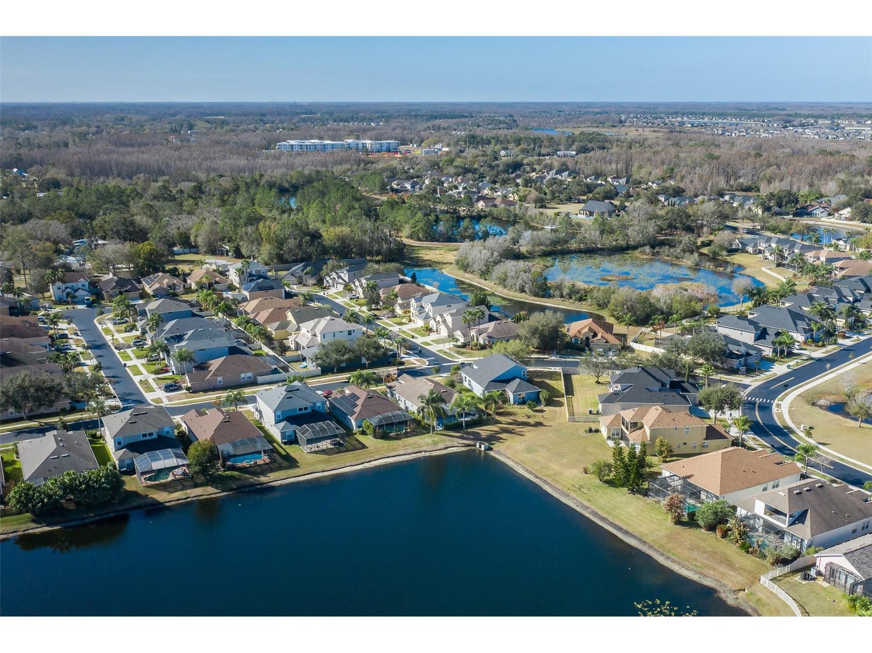 20301 Falling Rock Drive Land O Lakes FL 34638 W7883146 image68