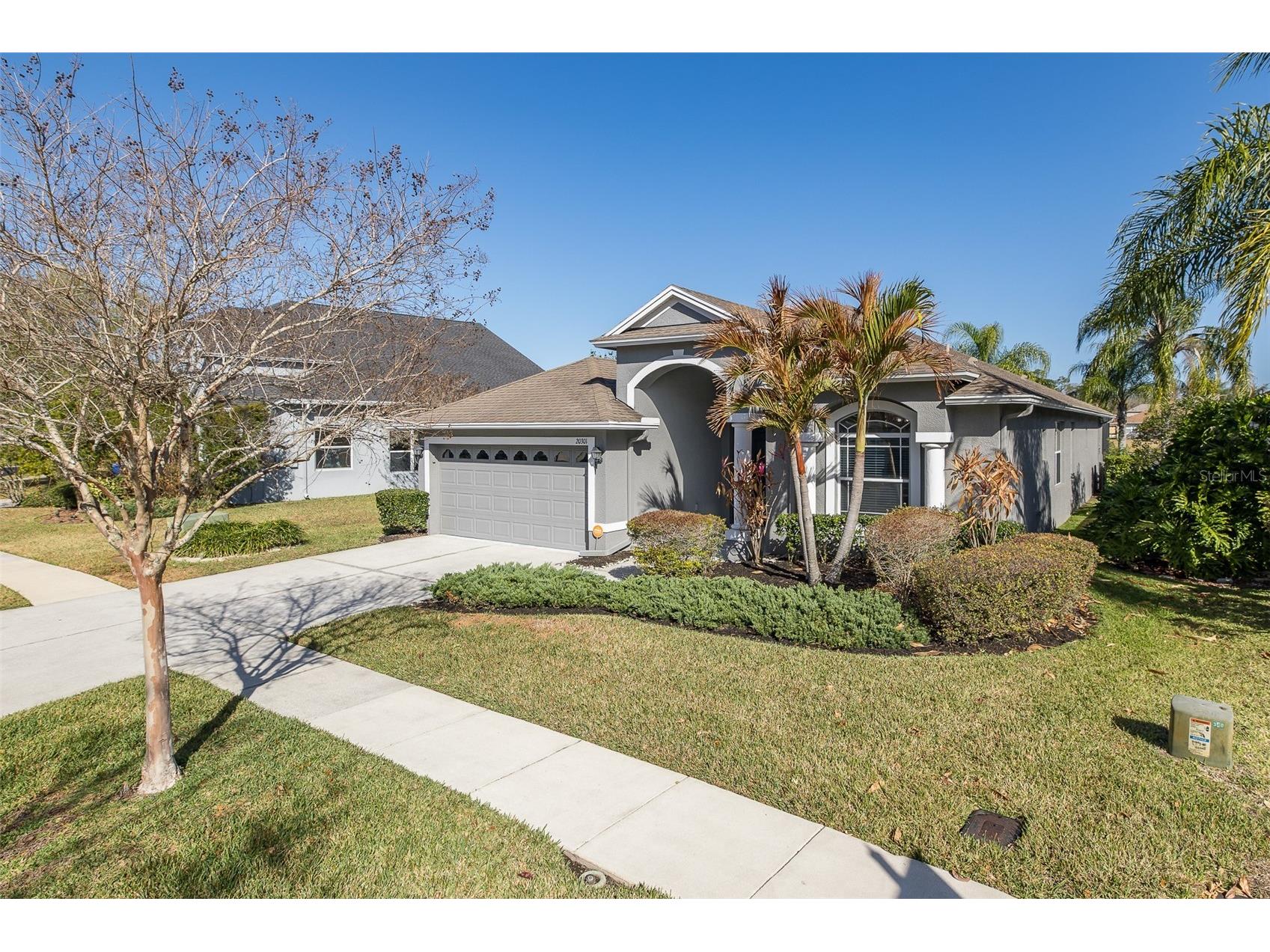 20301 Falling Rock Drive Land O Lakes FL 34638 W7883146 image79