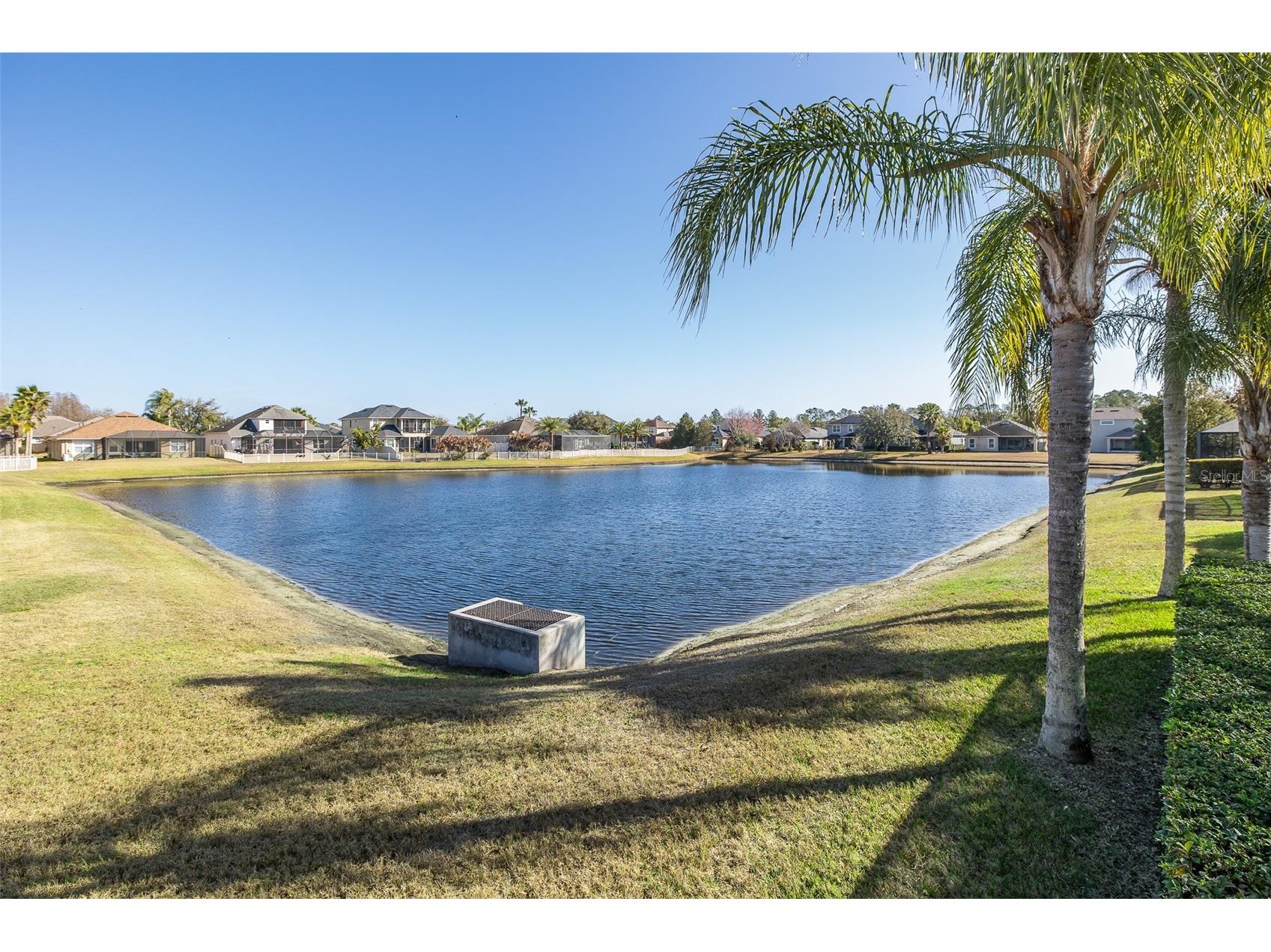 20301 Falling Rock Drive Land O Lakes FL 34638 W7883146 image81
