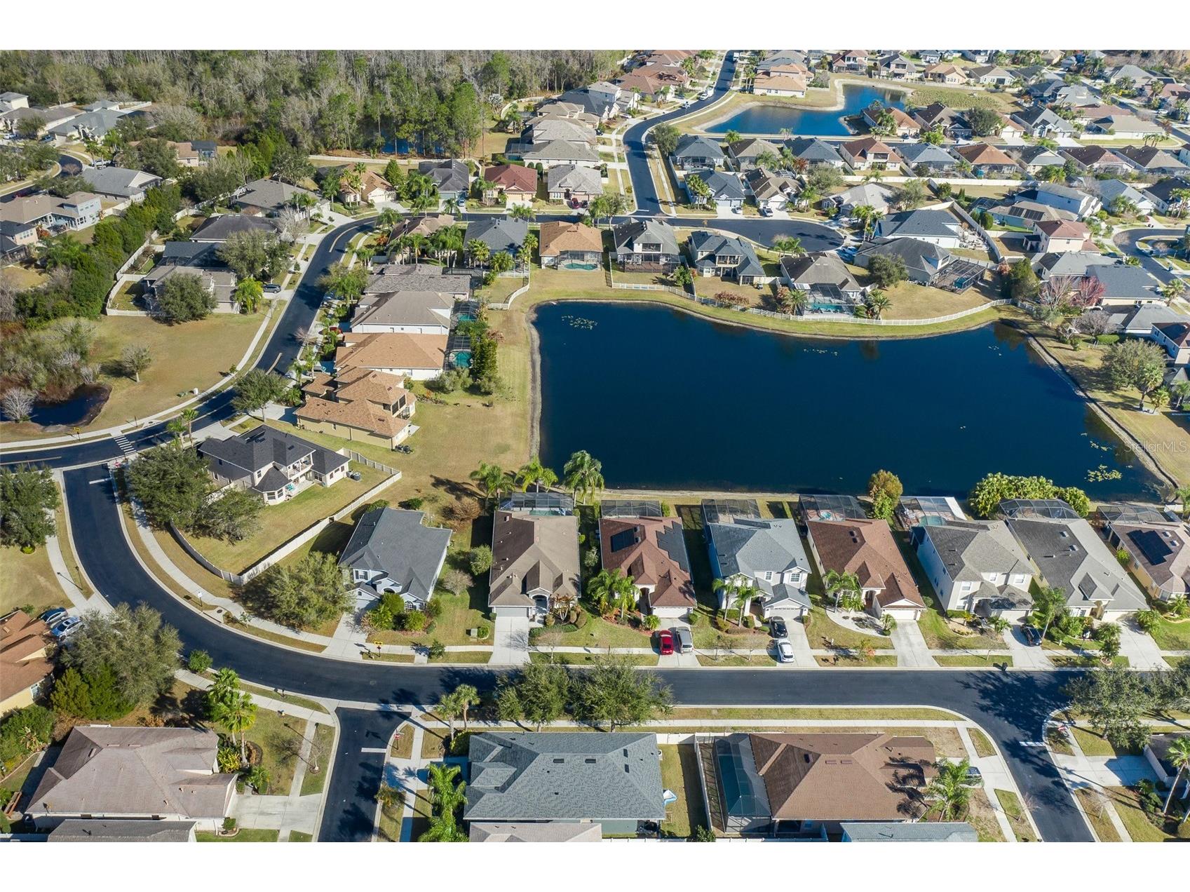 20301 Falling Rock Drive Land O Lakes FL 34638 W7883146 image84