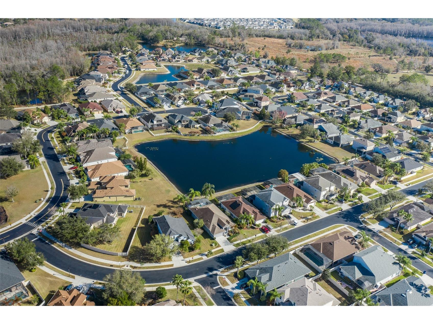 20301 Falling Rock Drive Land O Lakes FL 34638 W7883146 image85