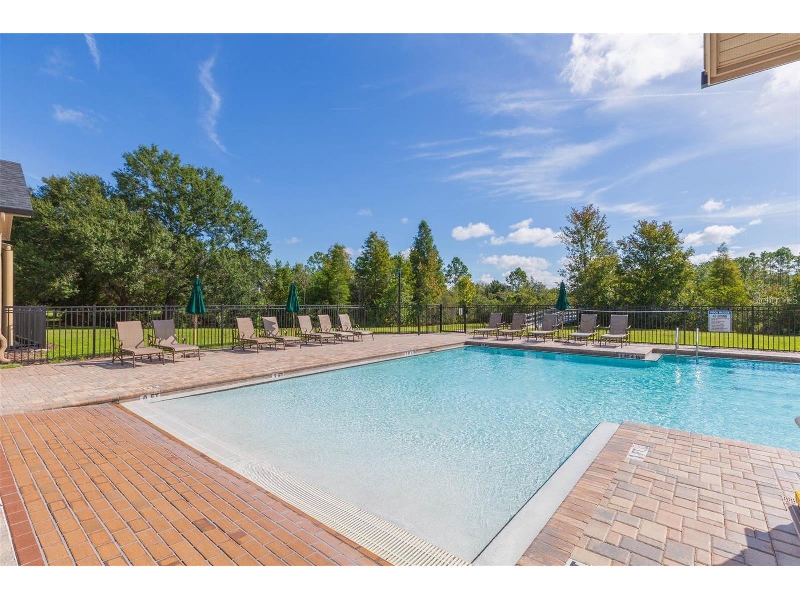 20301 Falling Rock Drive Land O Lakes FL 34638 W7883146 image91