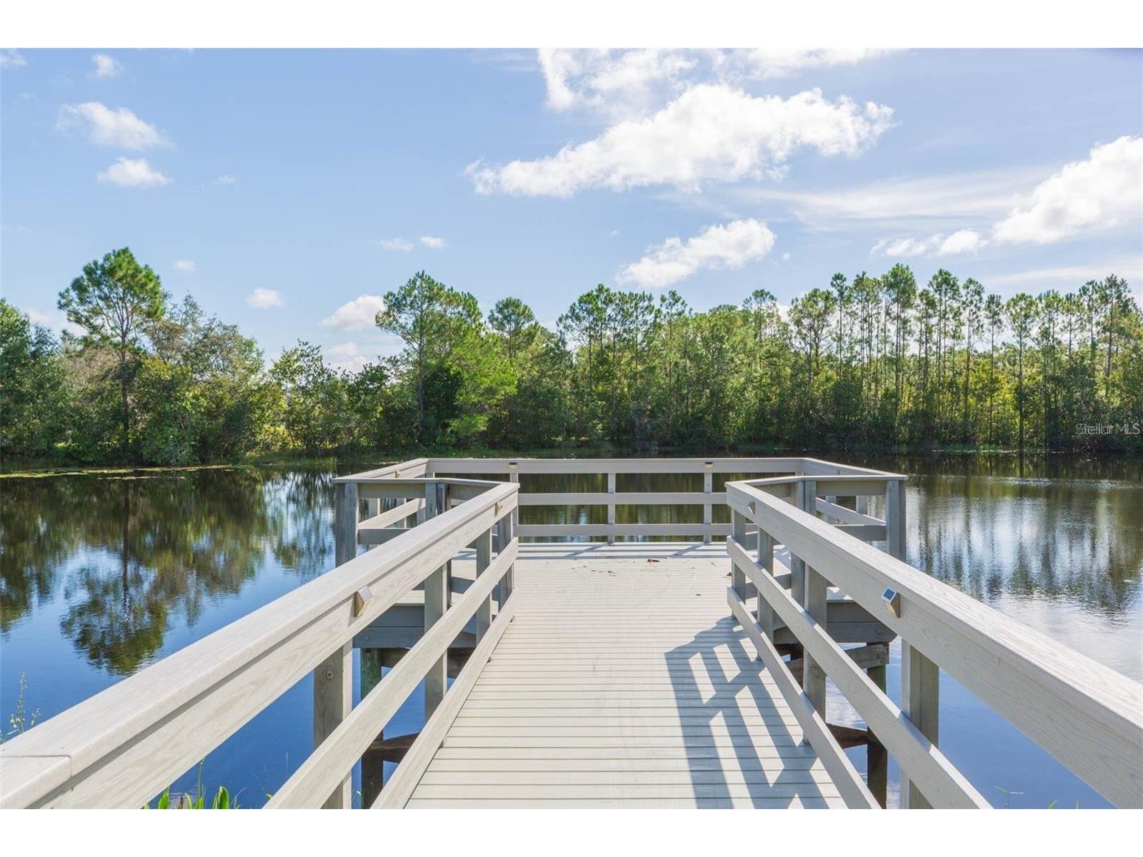 20301 Falling Rock Drive Land O Lakes FL 34638 W7883146 image92