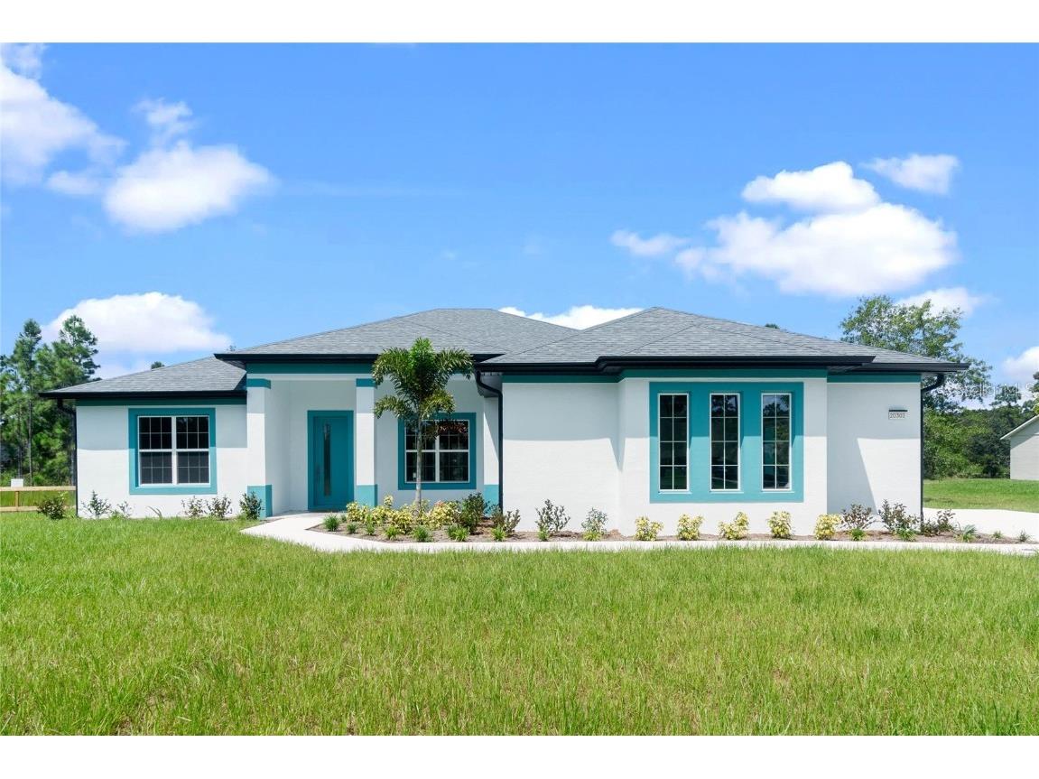 20301 Quinn Street Orlando FL 32833 O6242958 image4