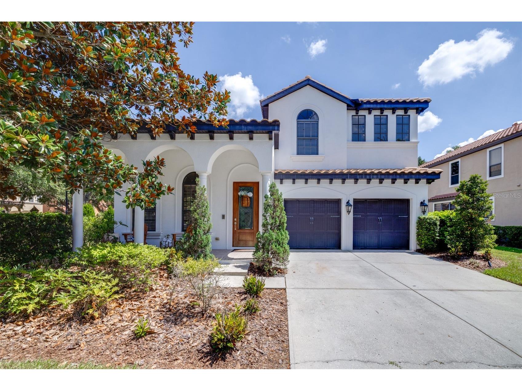 20302 Chestnut Grove Drive Tampa FL 33647 TB8523369 image1