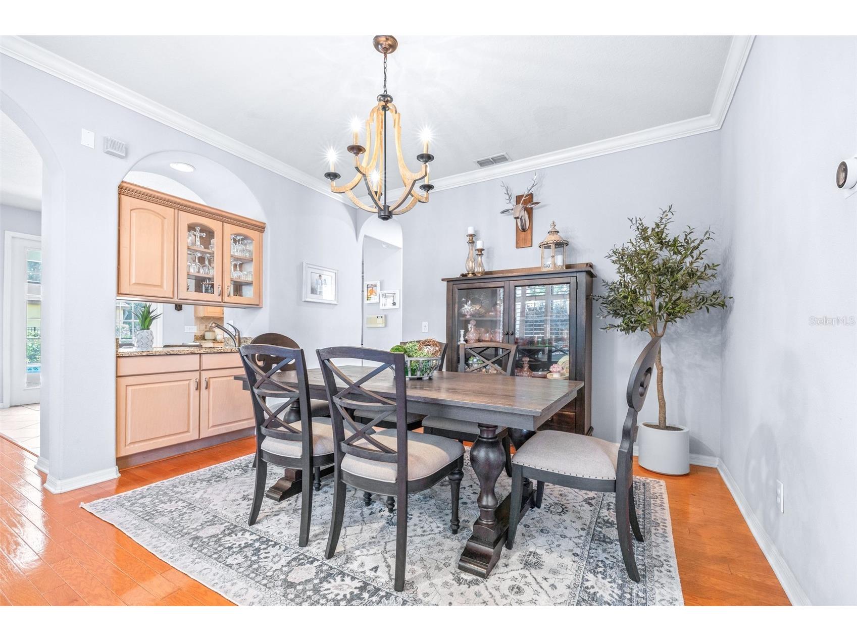 20302 Chestnut Grove Drive Tampa FL 33647 TB8523369 image13