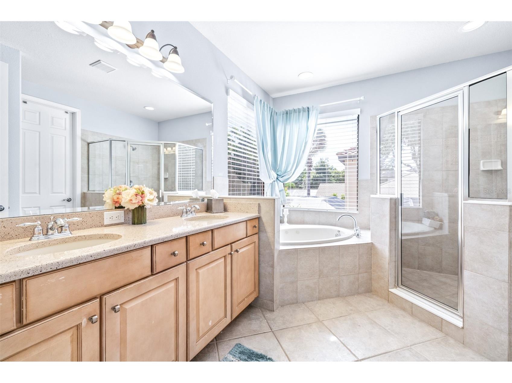 20302 Chestnut Grove Drive Tampa FL 33647 TB8523369 image31