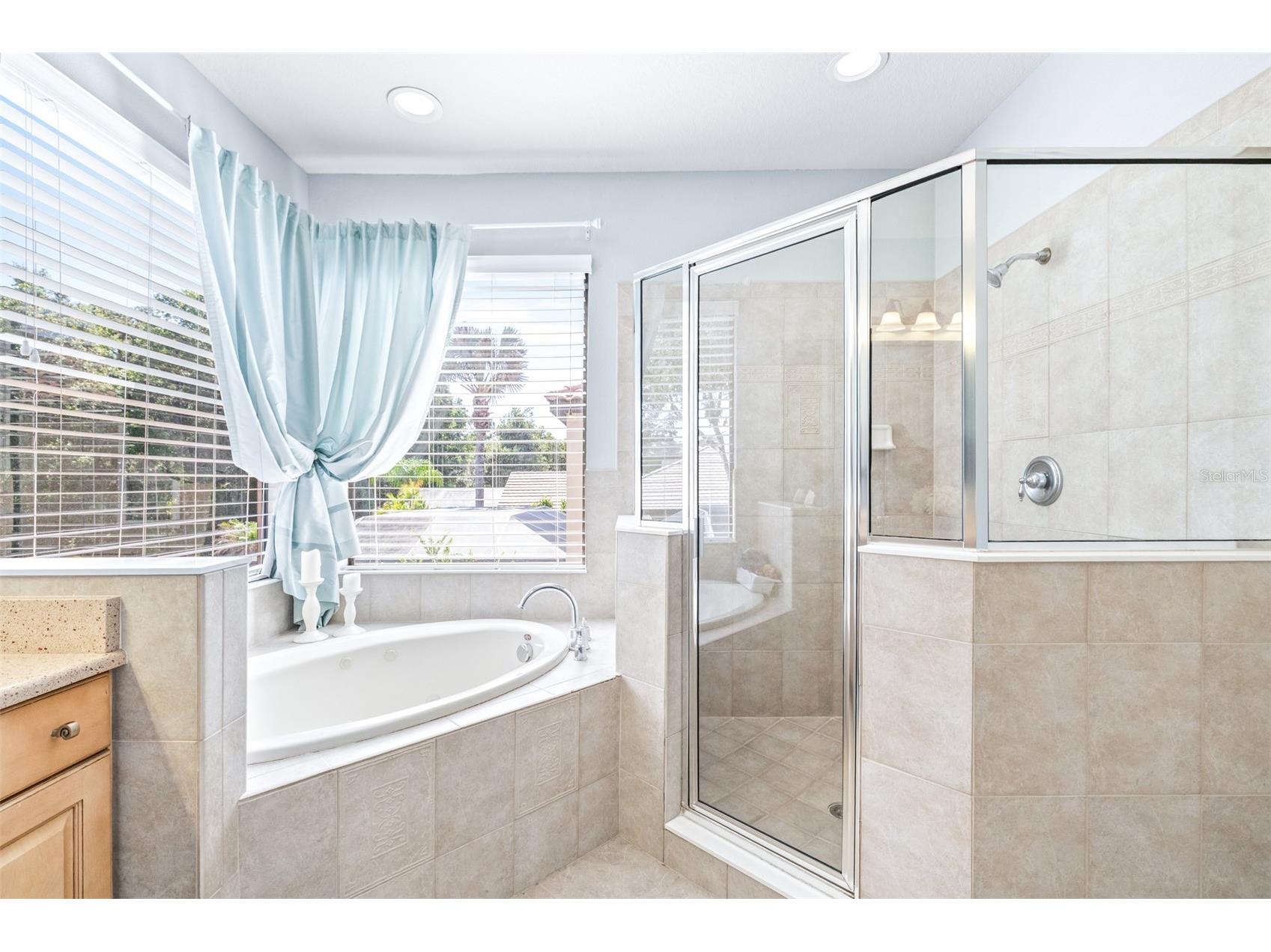 20302 Chestnut Grove Drive Tampa FL 33647 TB8523369 image32