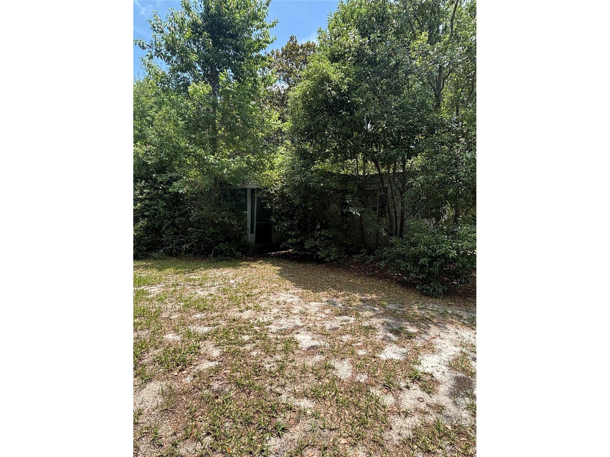 20304 Blue Wing Road Altoona FL 32702 G5113304 image1