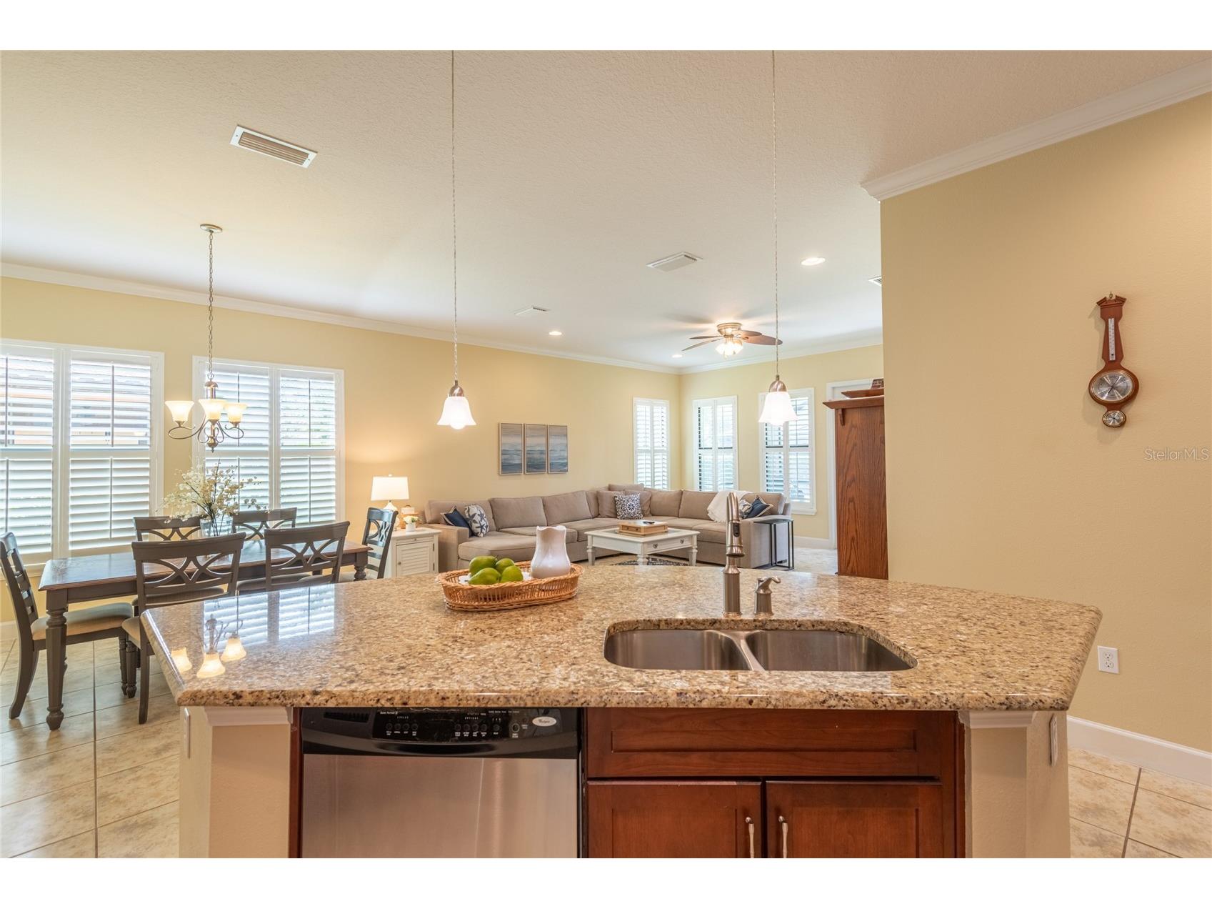 20305 Ash Grove Lane Tampa FL 33647 TB8511295 image14