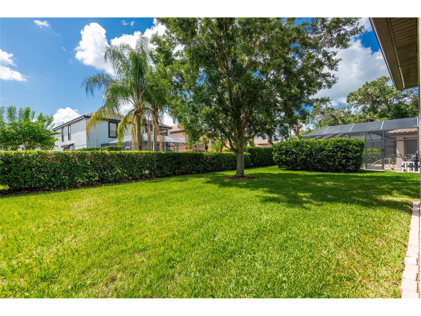 20305 Ash Grove Lane Tampa FL 33647 TB8511295 image34