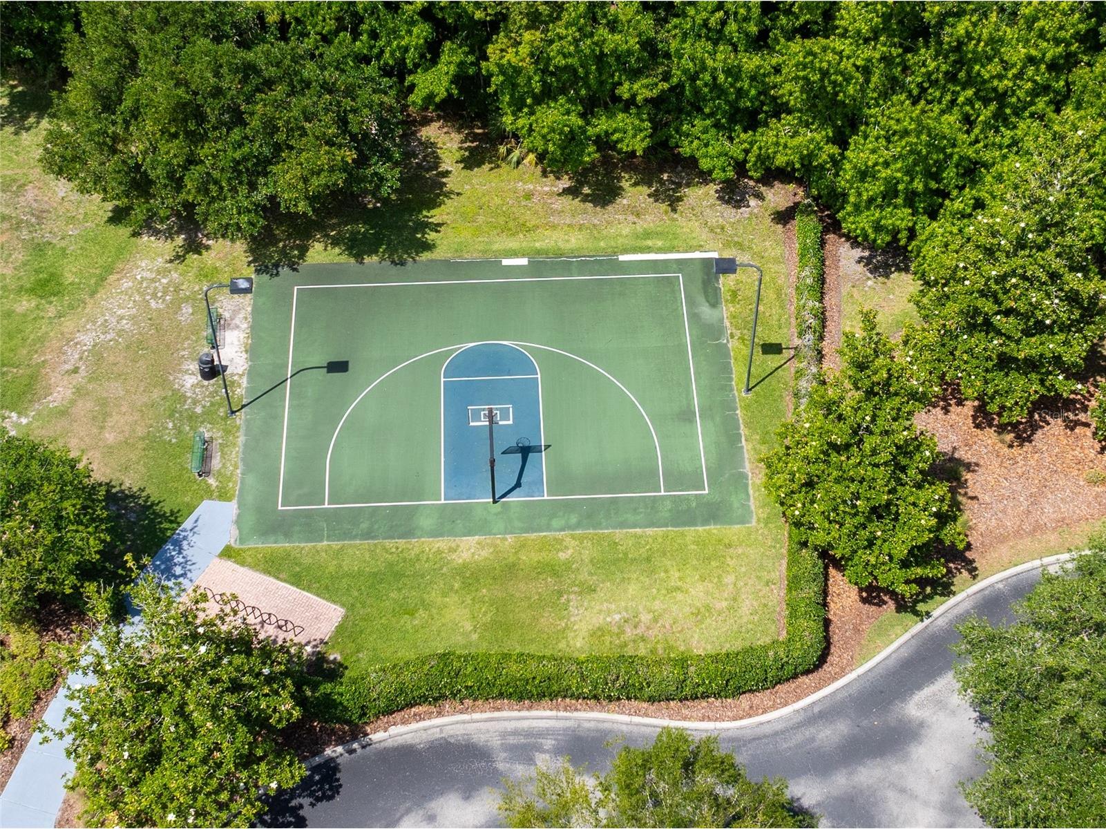 20305 Ash Grove Lane Tampa FL 33647 TB8511295 image42