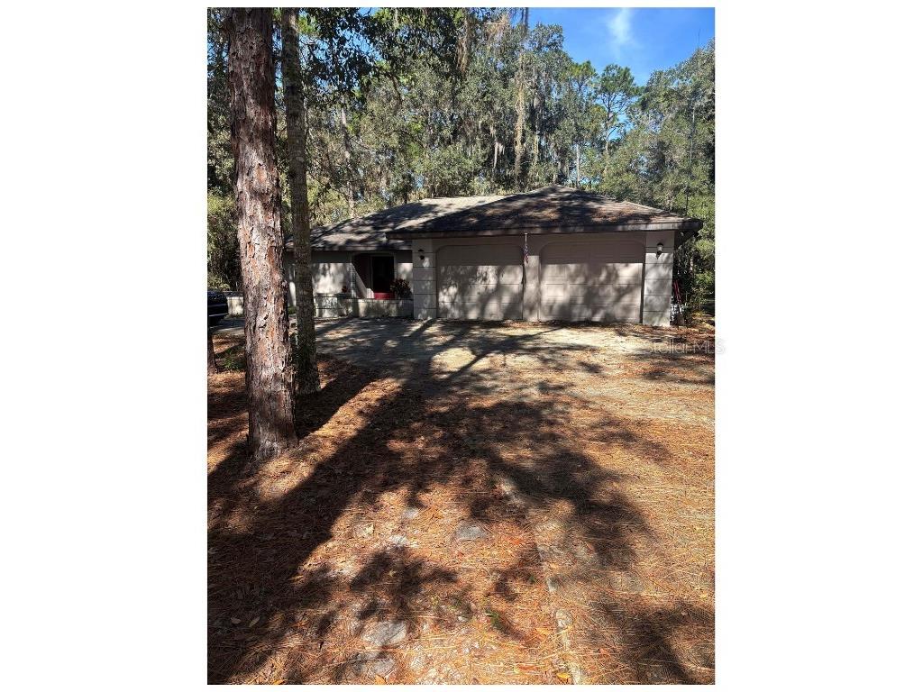 20305 Gamble Drive Brooksville FL 34601 W7880785 image1