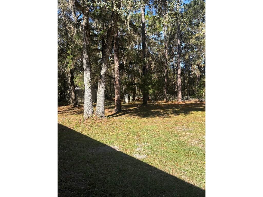 20305 Gamble Drive Brooksville FL 34601 W7880785 image12