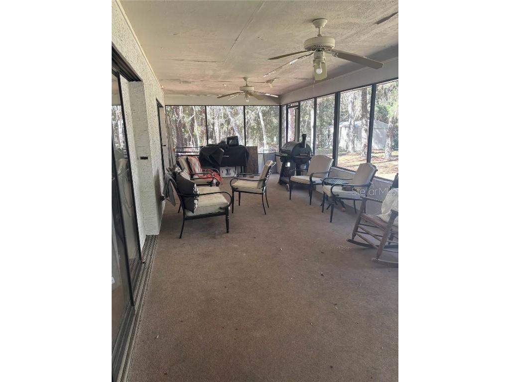 20305 Gamble Drive Brooksville FL 34601 W7880785 image14