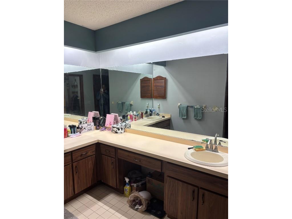 20305 Gamble Drive Brooksville FL 34601 W7880785 image4