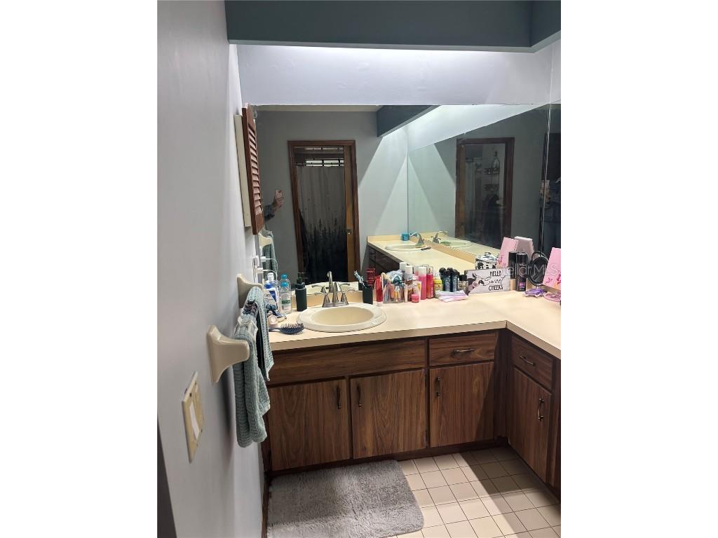 20305 Gamble Drive Brooksville FL 34601 W7880785 image5