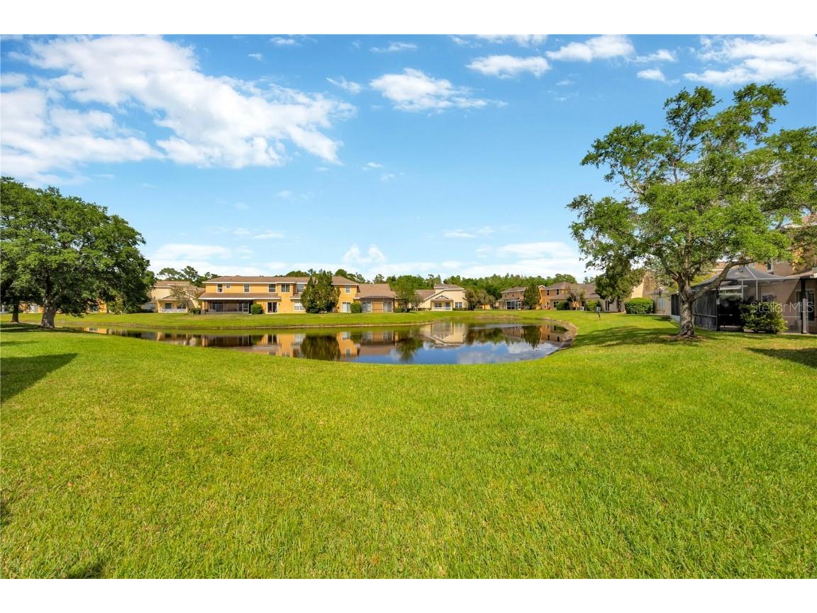 20305 Oak Key Court Tampa FL 33647 TB8372366 image47