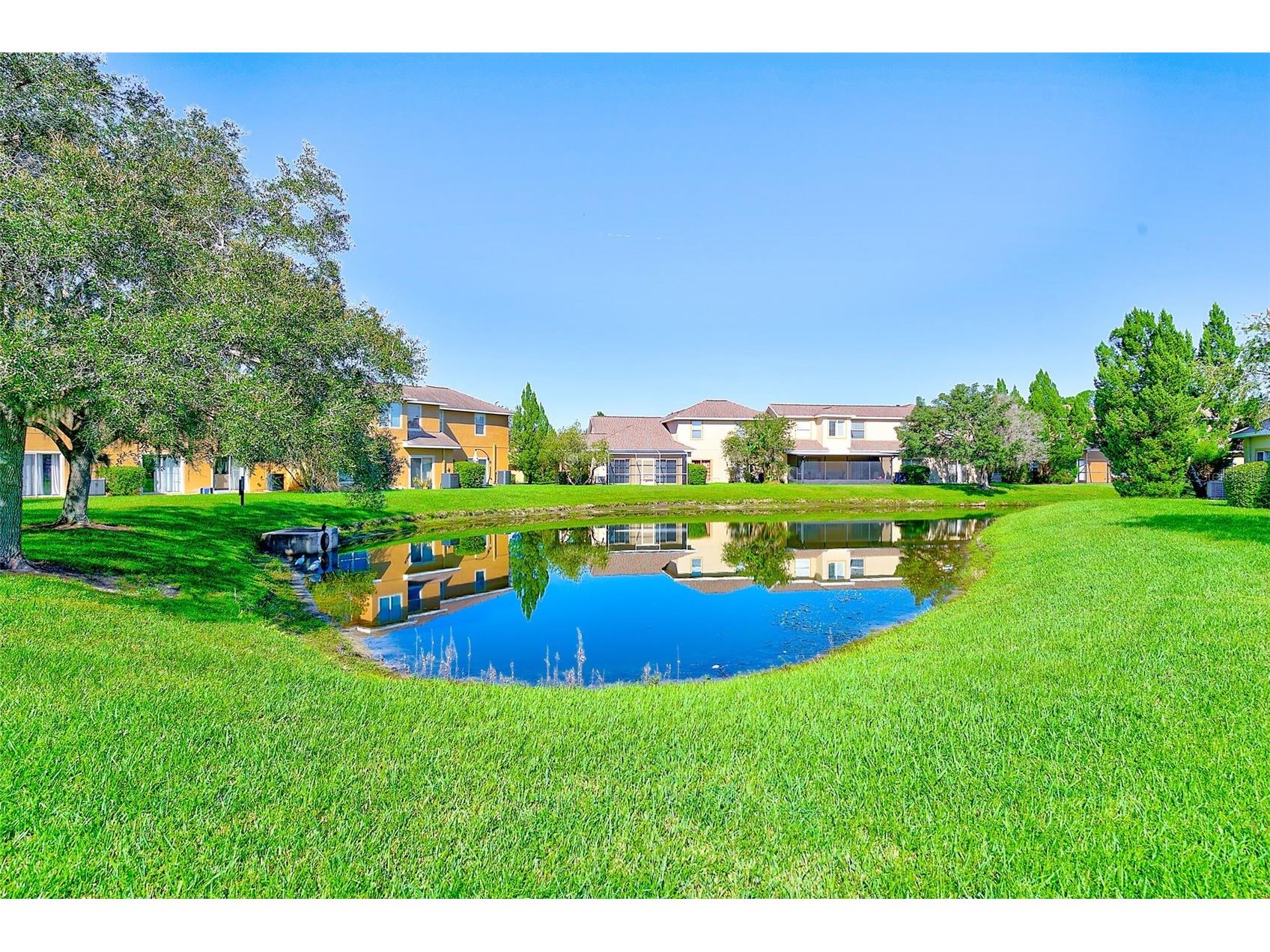 20306 Oak Key Court Tampa FL 33647 TB8440123 image39