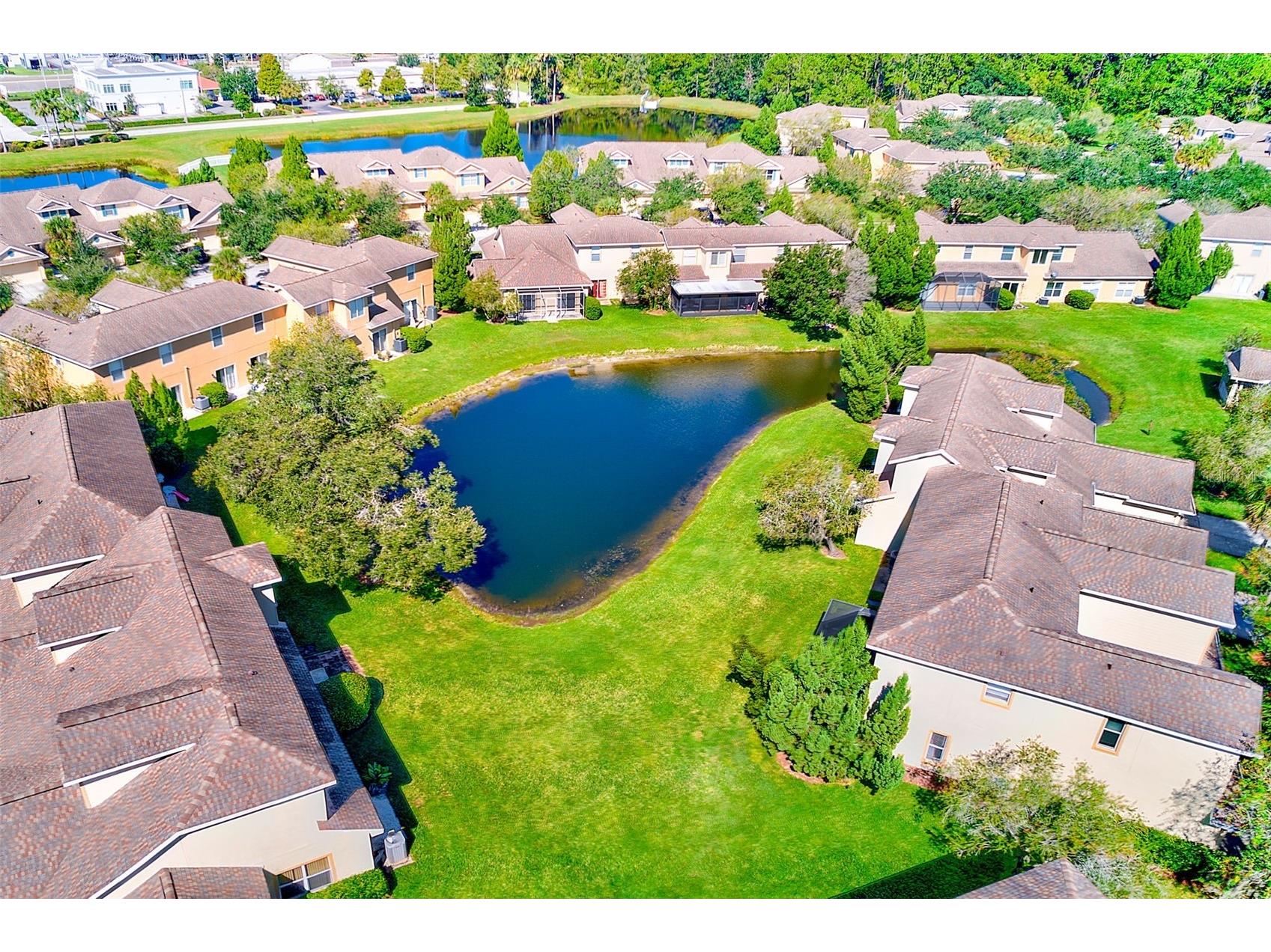 20306 Oak Key Court Tampa FL 33647 TB8440123 image42