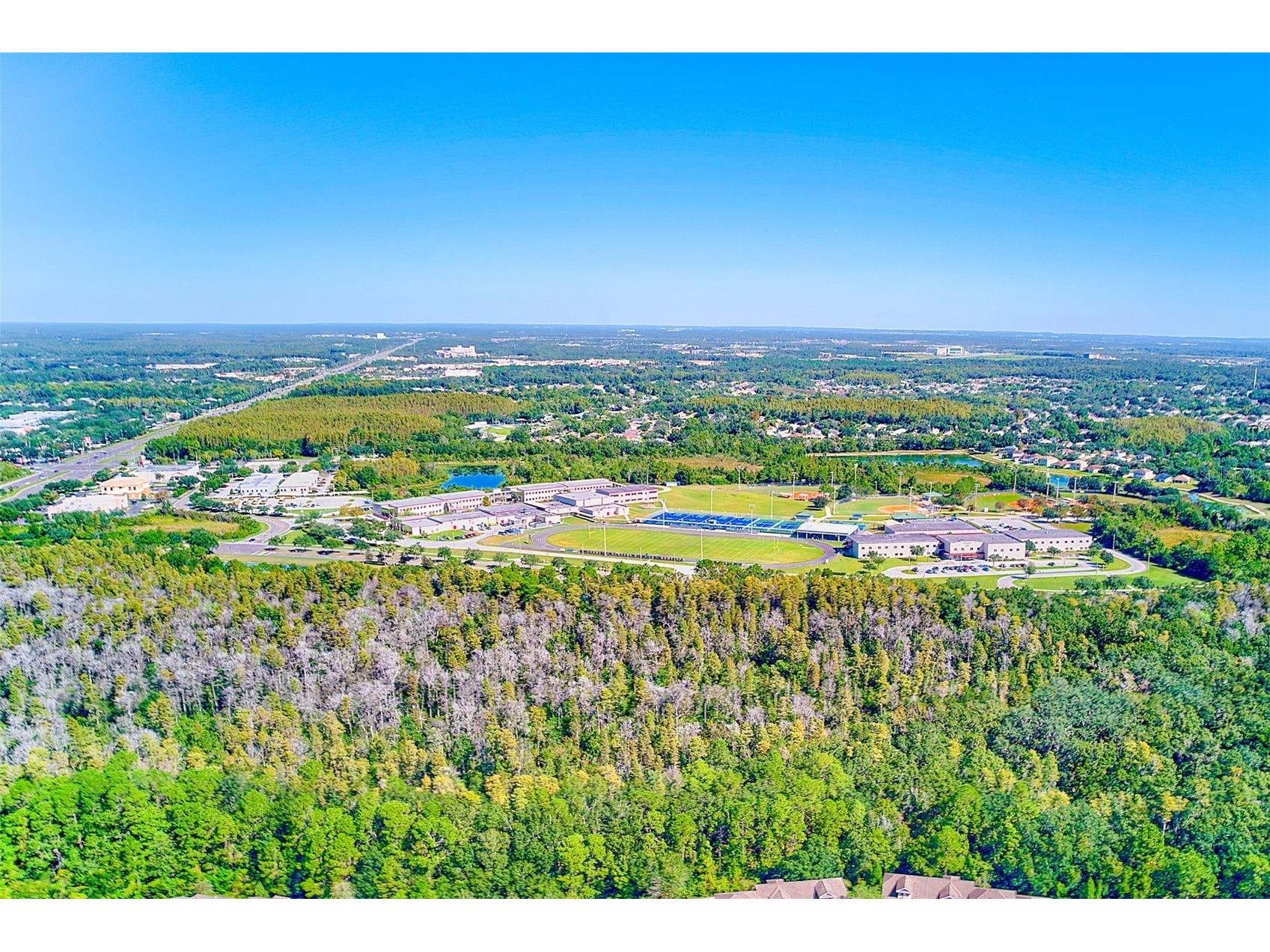 20306 Oak Key Court Tampa FL 33647 TB8440123 image44