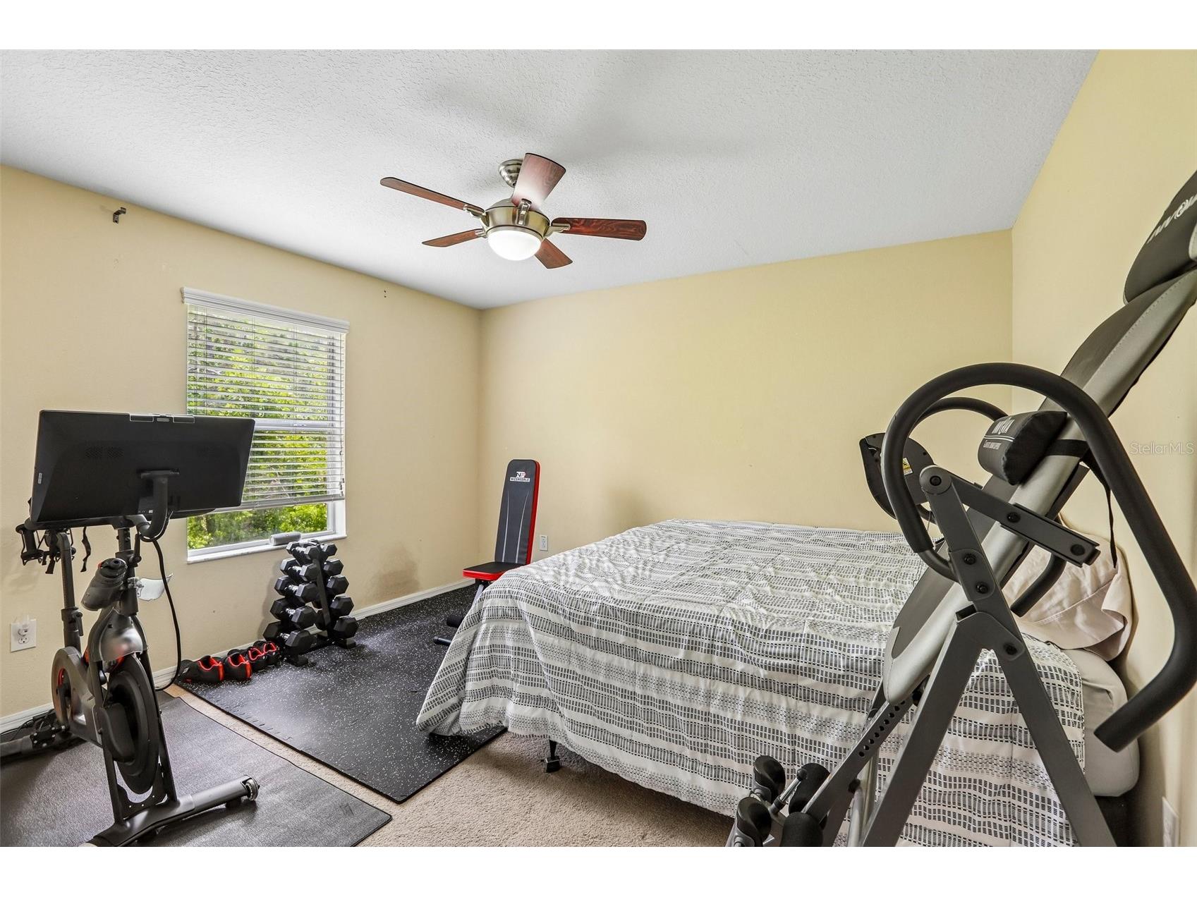 20306 Starfinder Way Tampa FL 33647 OM727402 image23