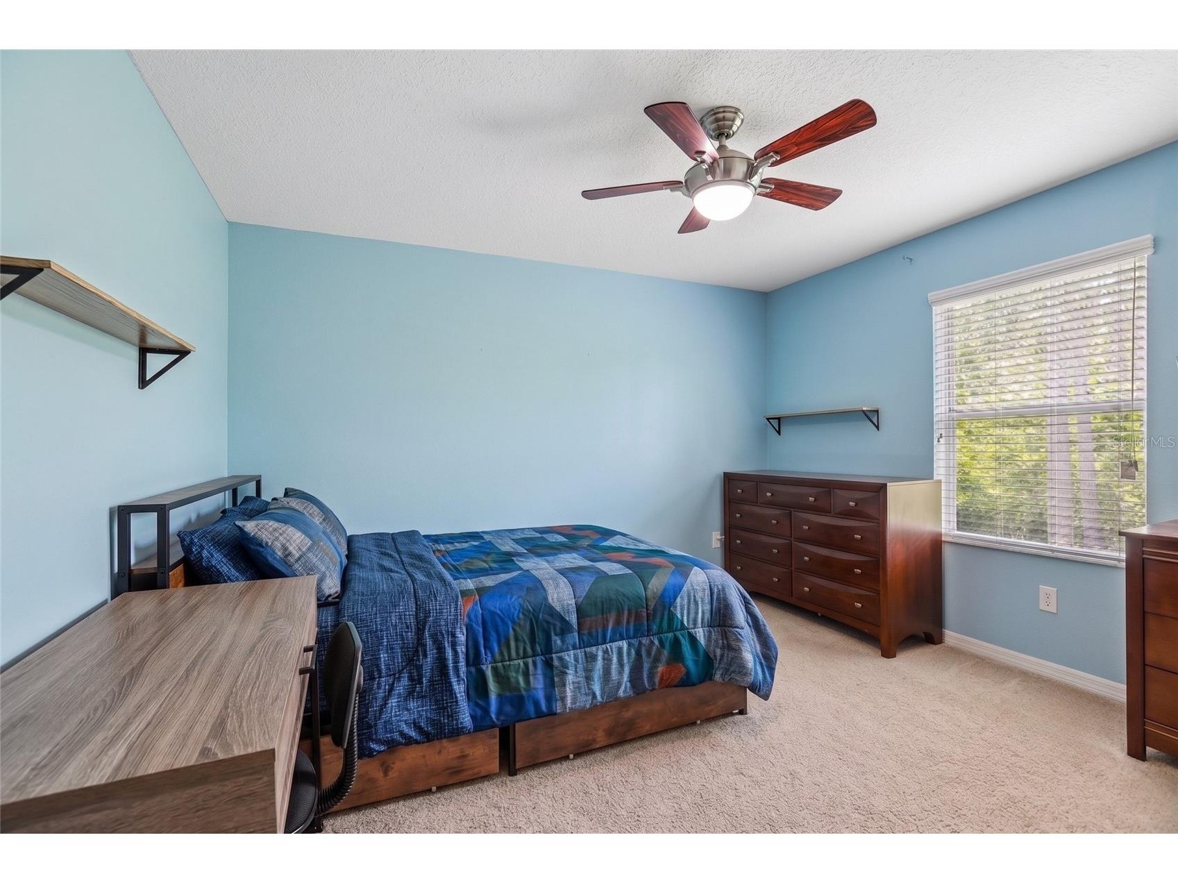 20306 Starfinder Way Tampa FL 33647 OM727402 image24
