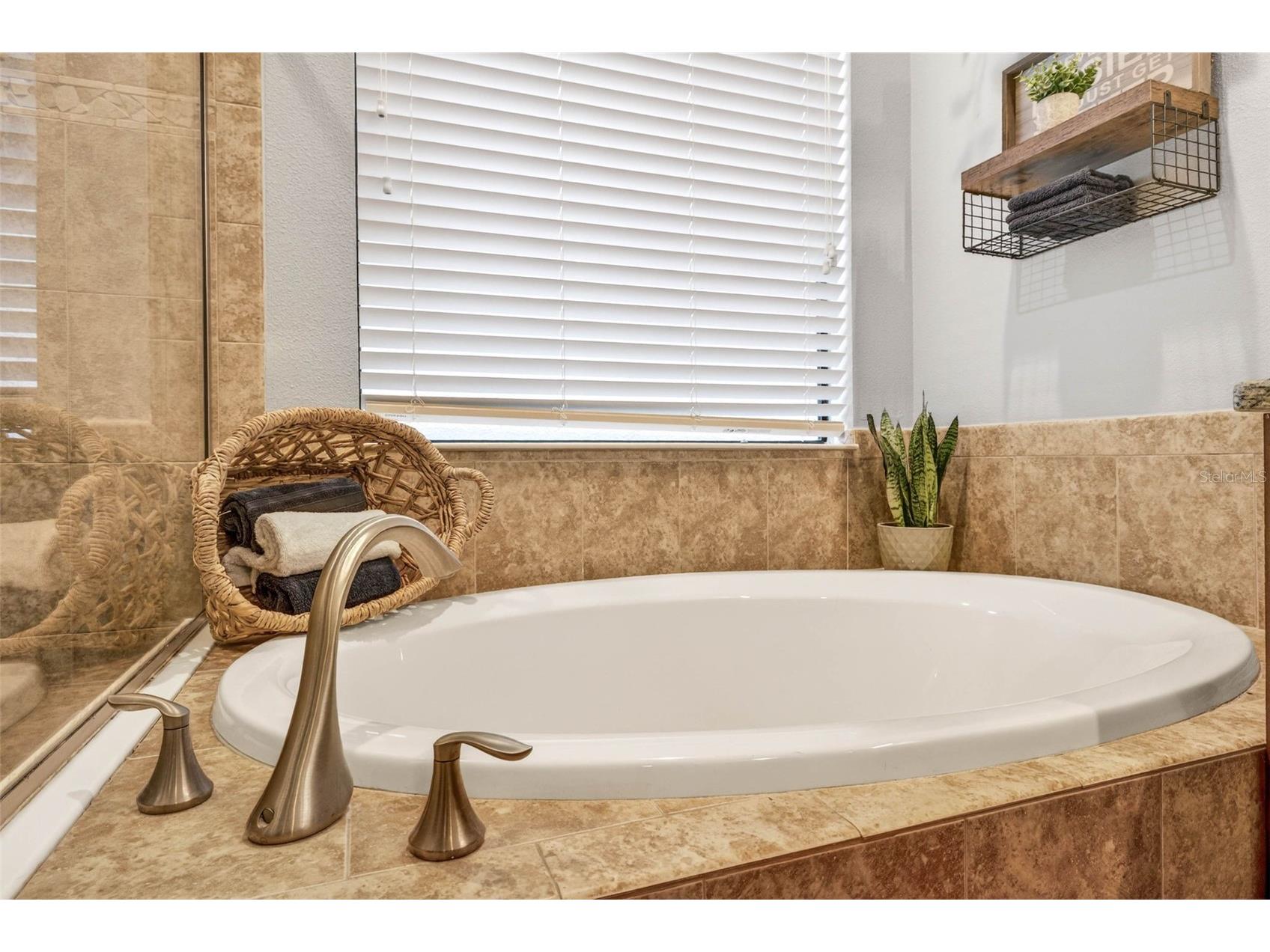 20308 Ash Grove Lane Tampa FL 33647 TB8465427 image27